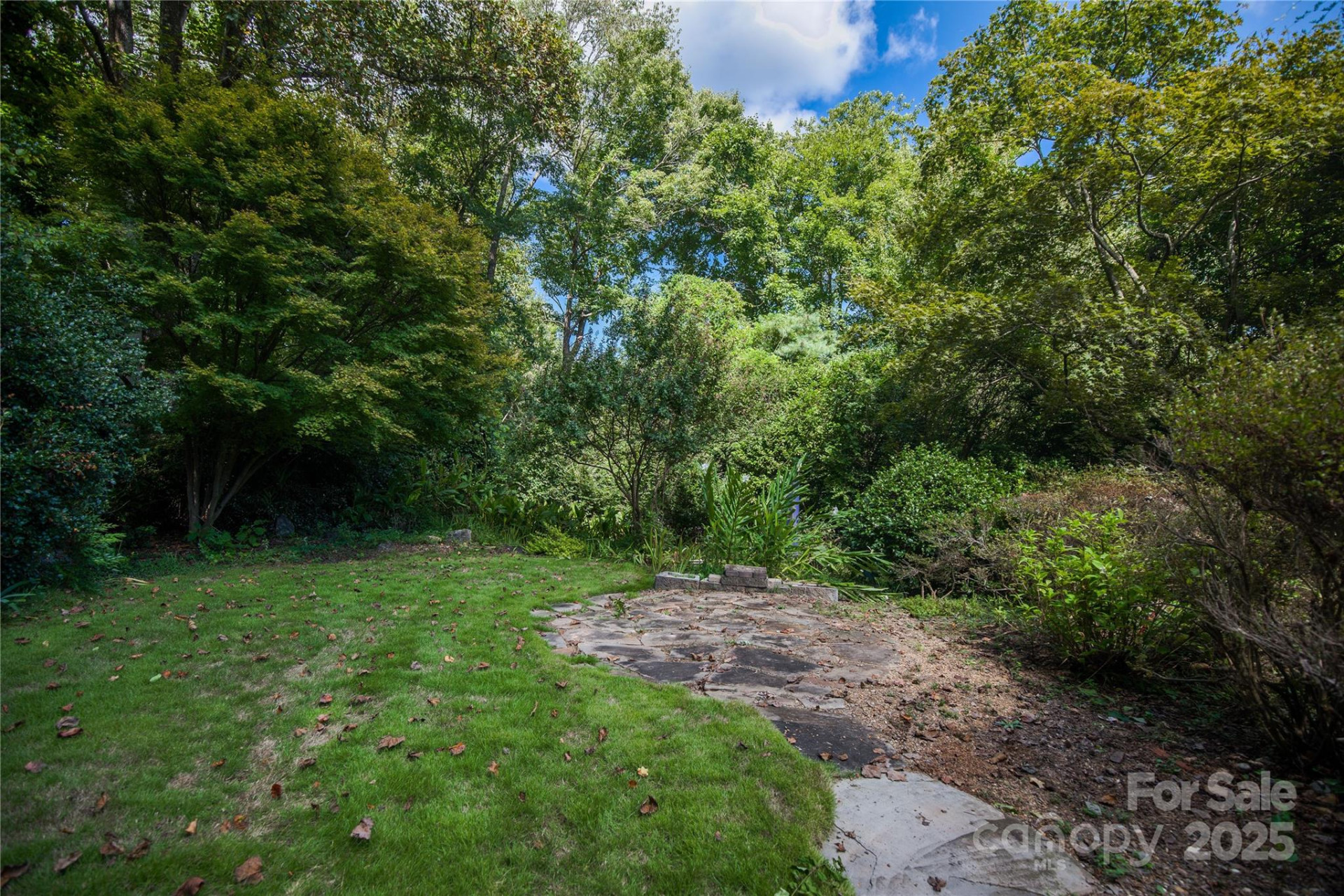 334 Case Street - Photo 4