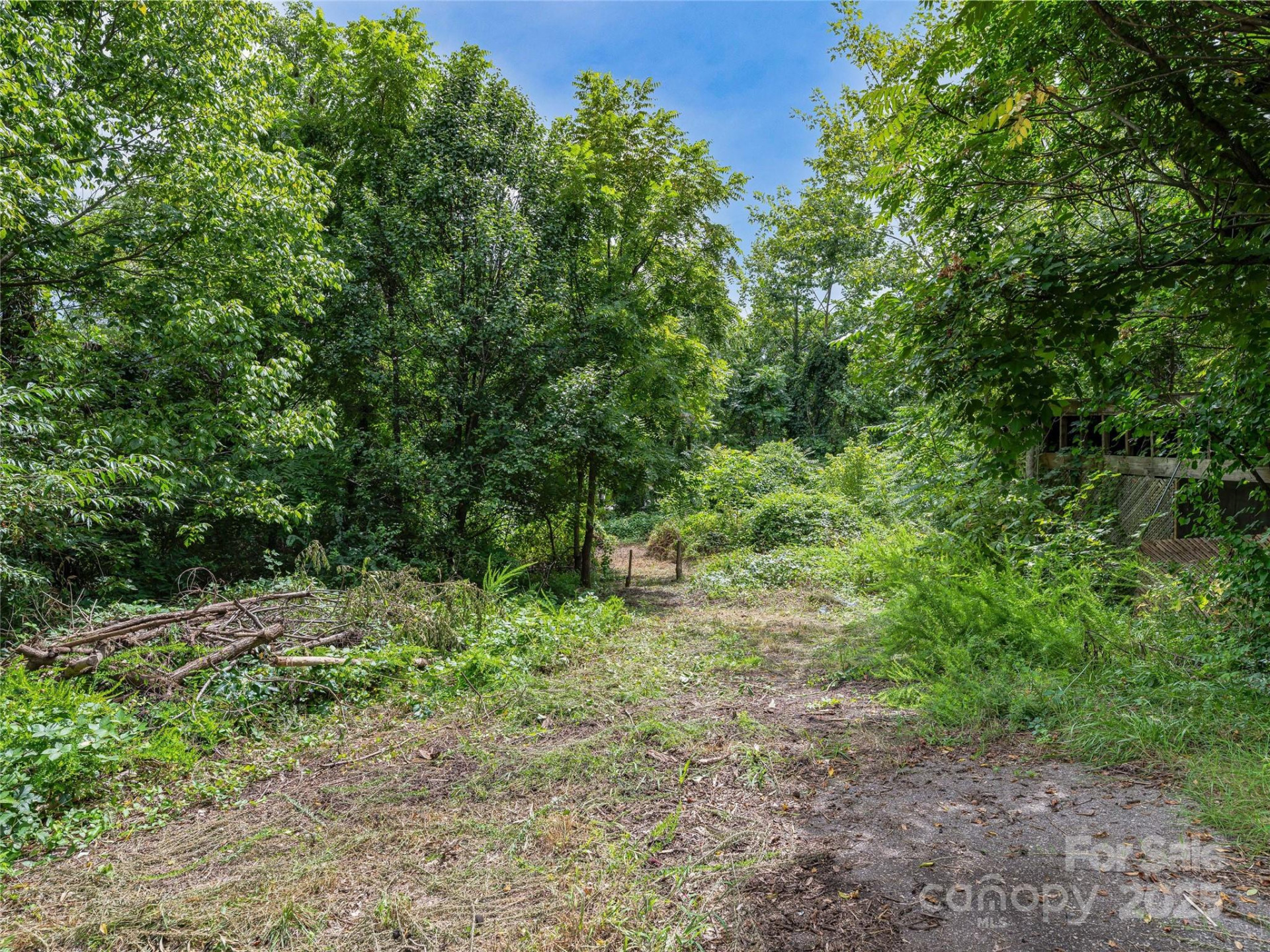 220, 226 & 99999 Hazel Mill Road - Photo 18