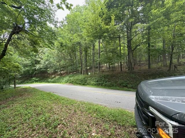 0000 Skyuka Mountain Road, Columbus, NC, 28722