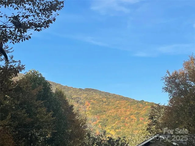 96 Chestnut Lane, Mars Hill, NC, 28754