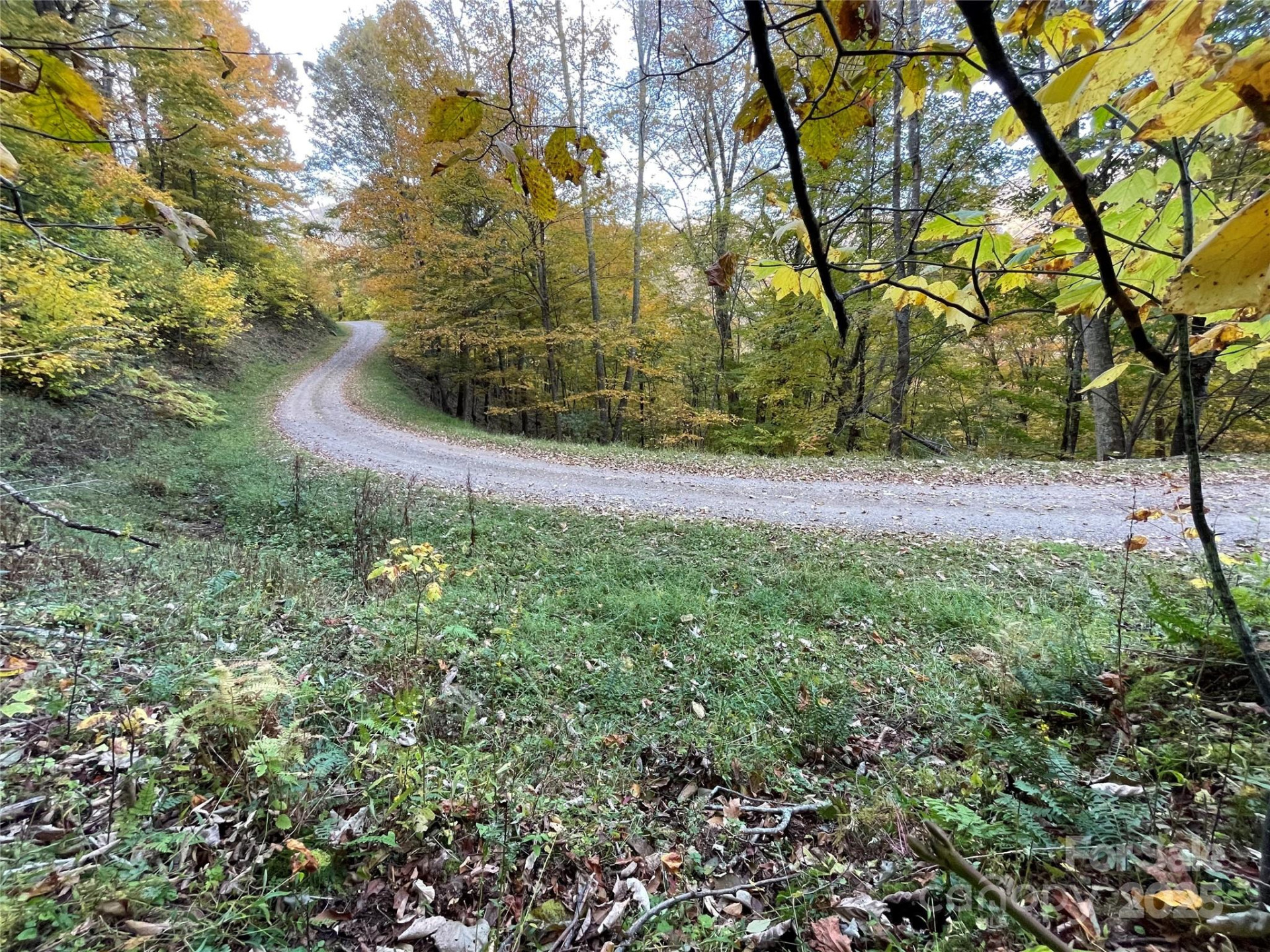 96 Chestnut Lane #96 - Photo 2