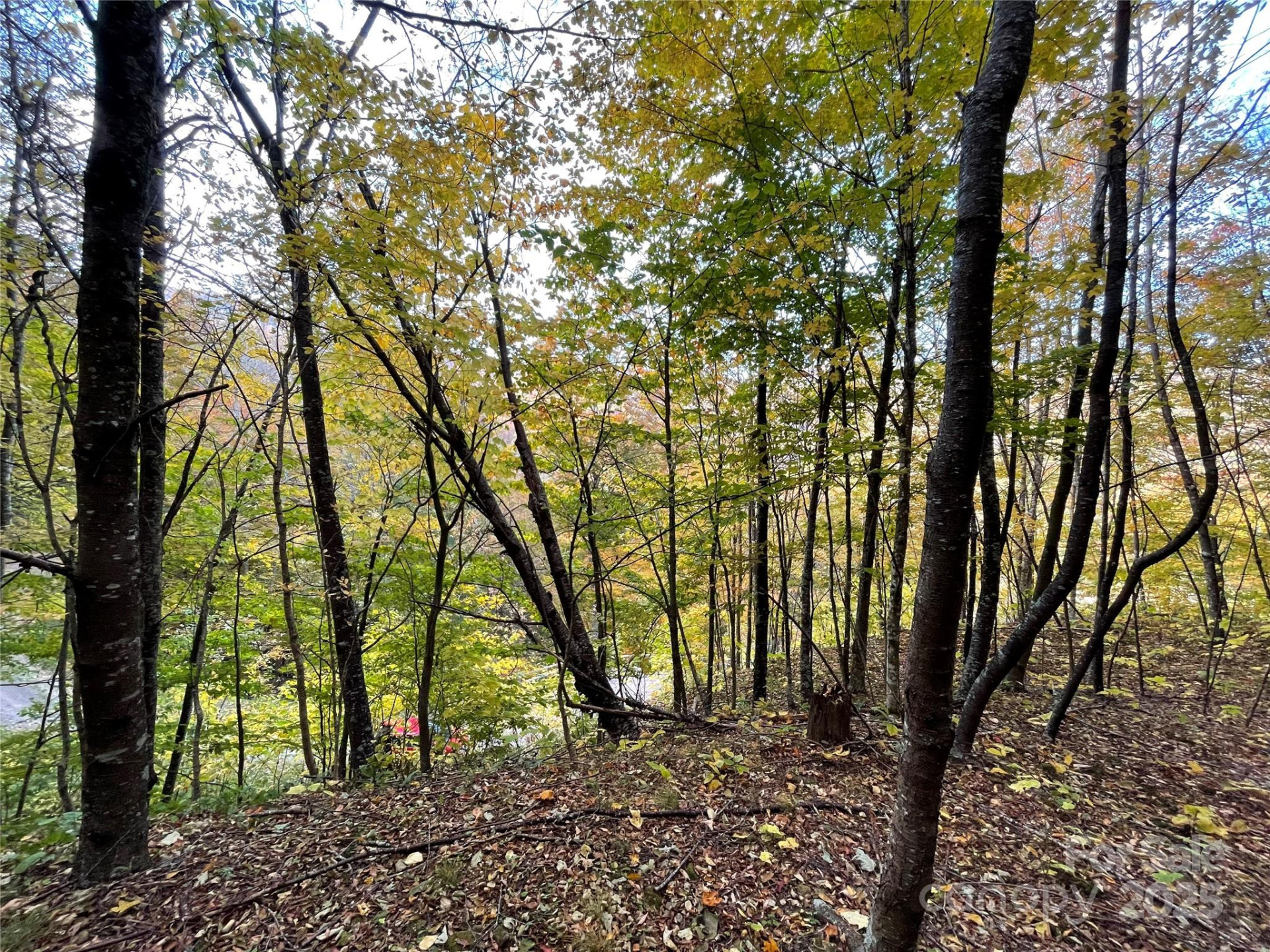 96 Chestnut Lane #96 - Photo 11