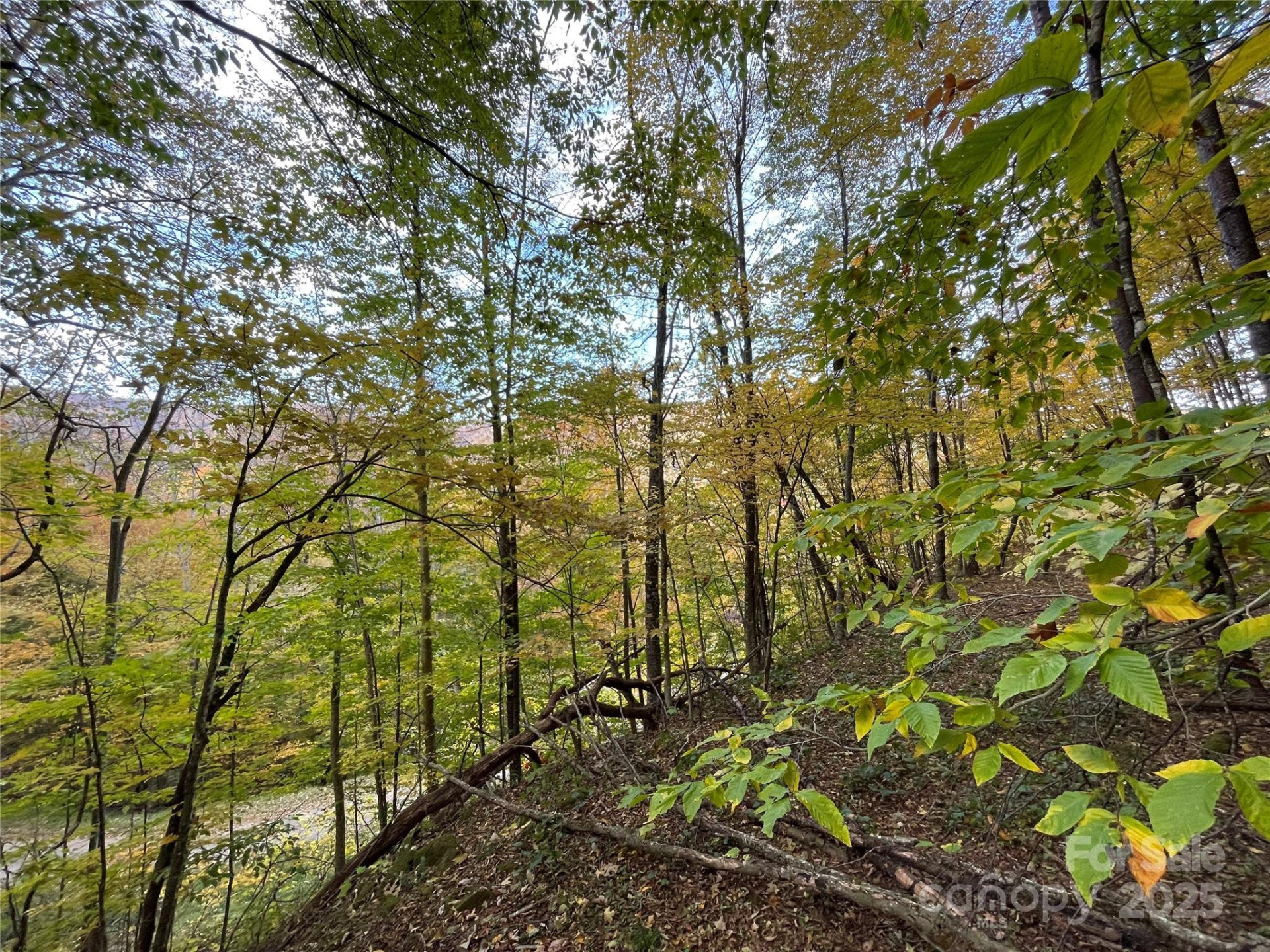 96 Chestnut Lane #96 - Photo 12