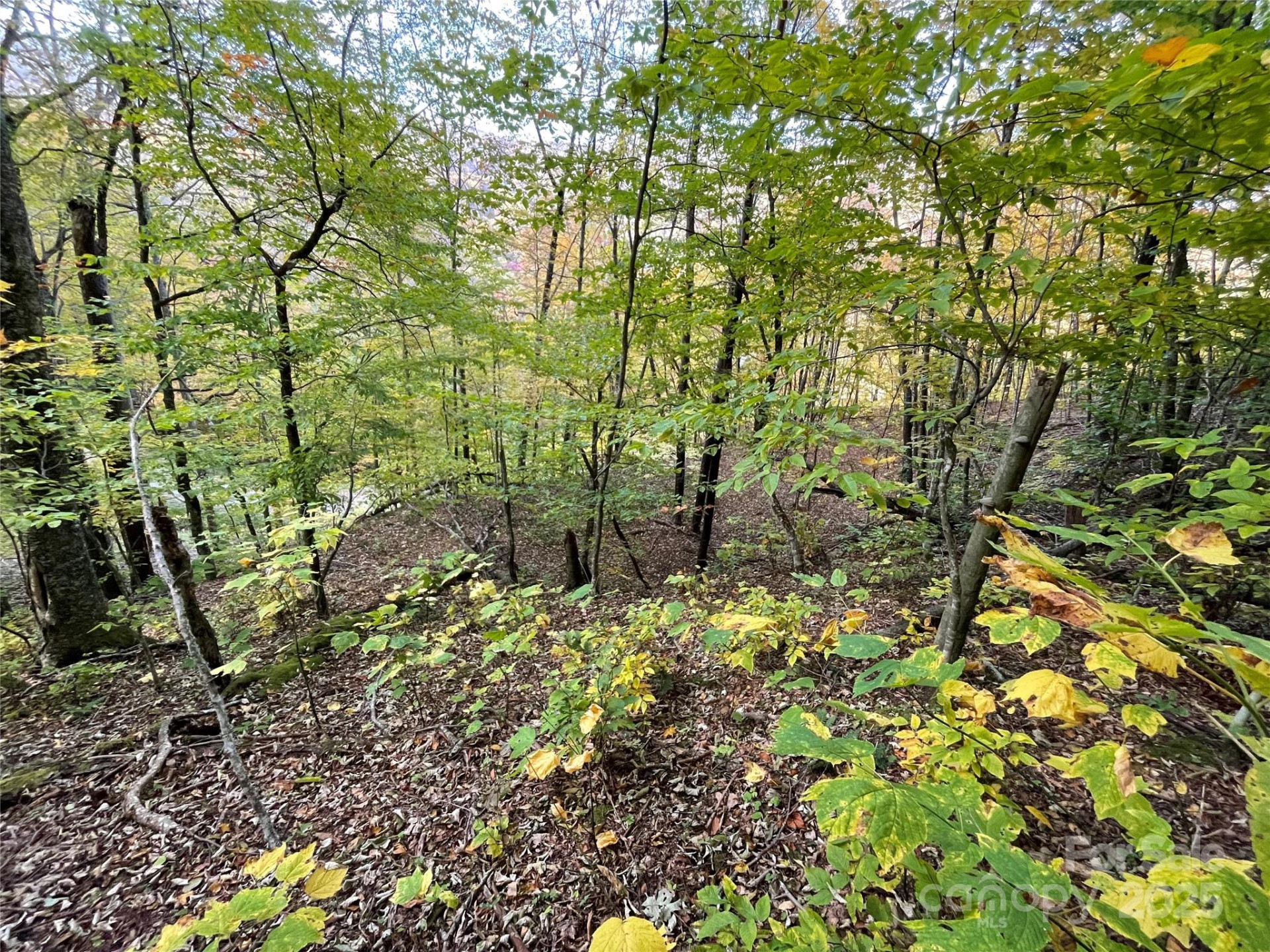 96 Chestnut Lane #96 - Photo 4