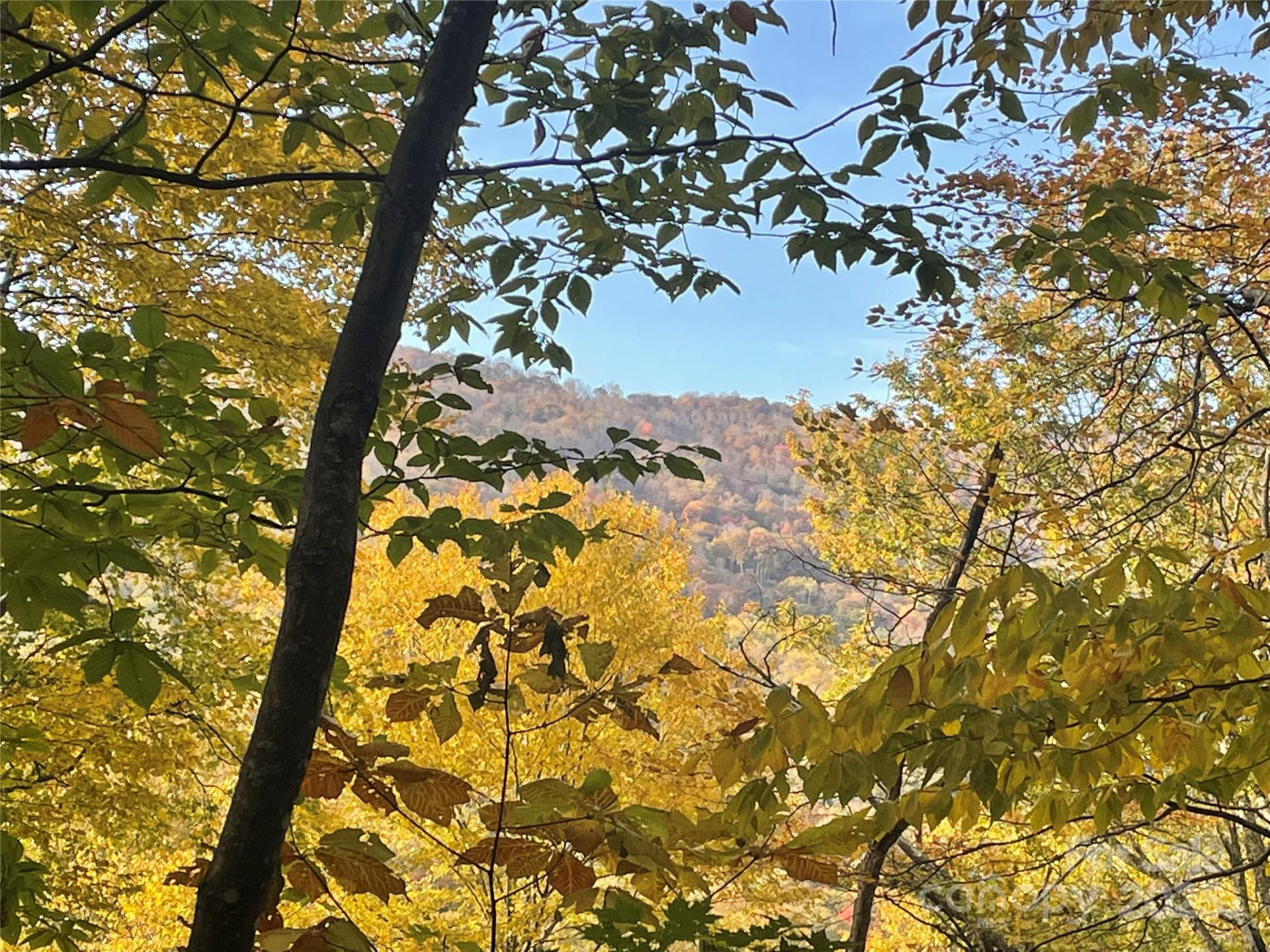 96 Chestnut Lane #96 - Photo 5