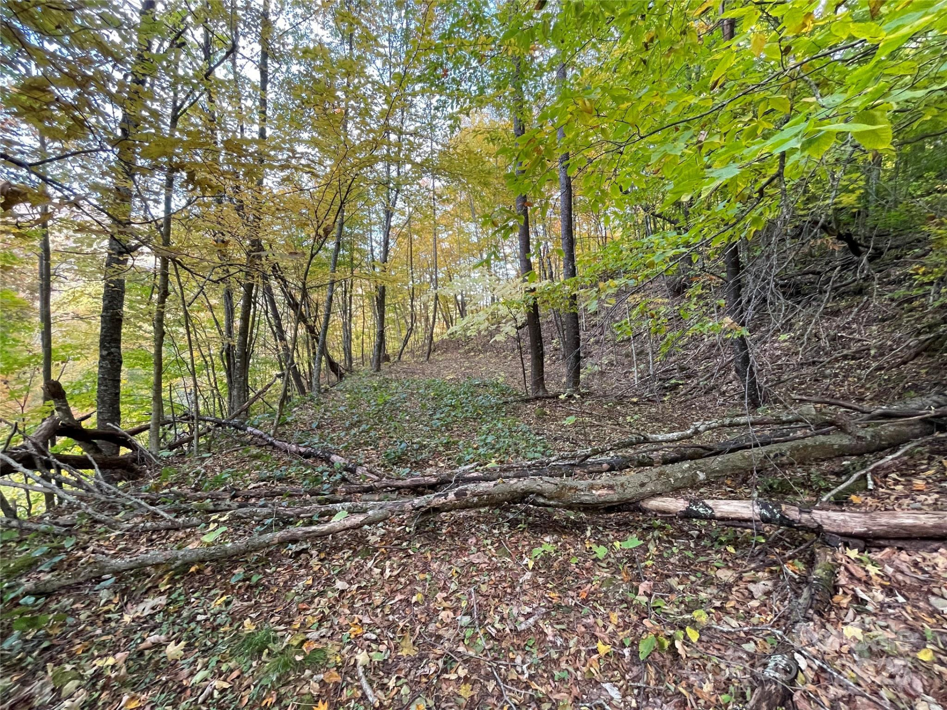 96 Chestnut Lane #96 - Photo 6