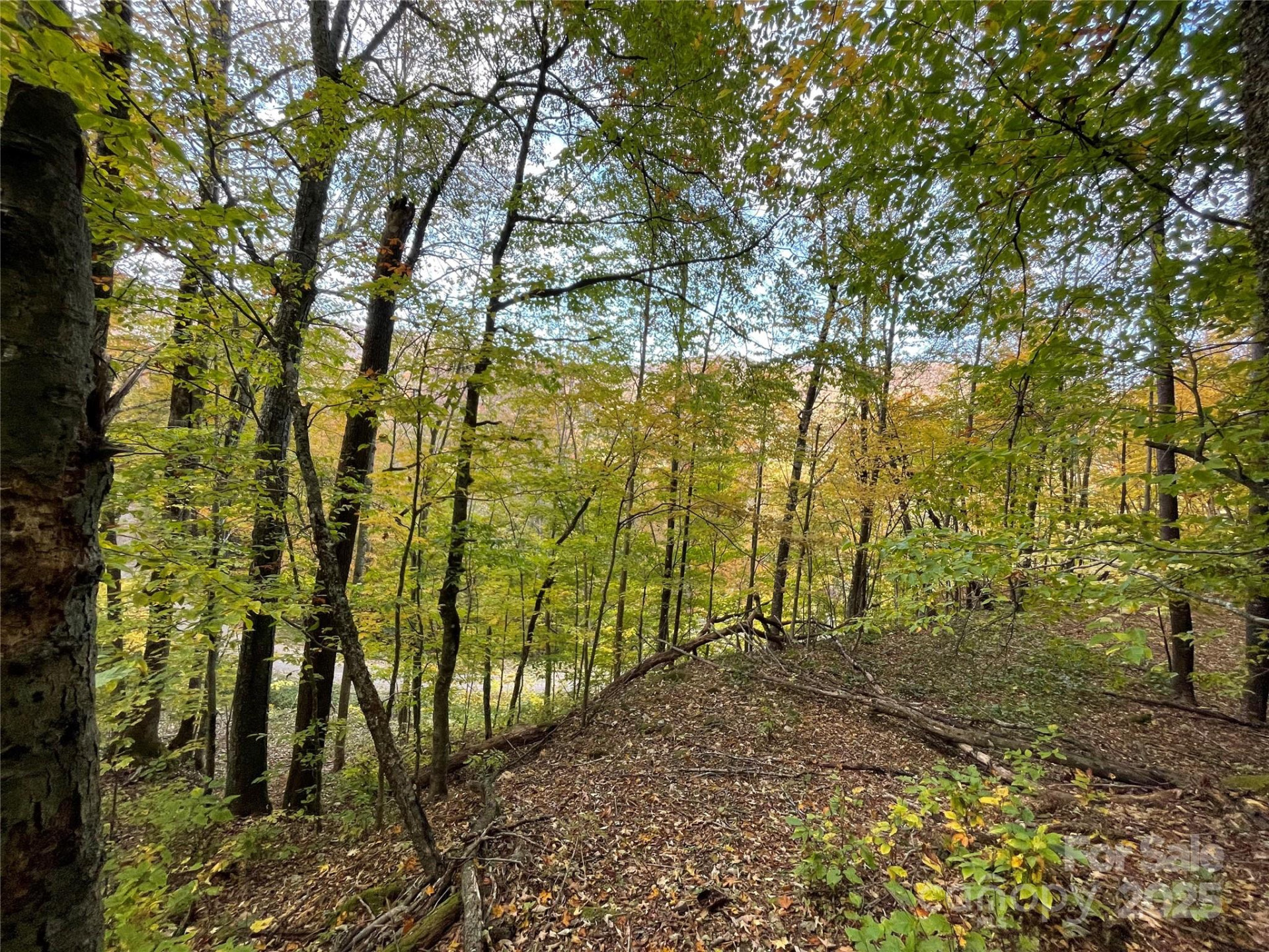 96 Chestnut Lane #96 - Photo 7