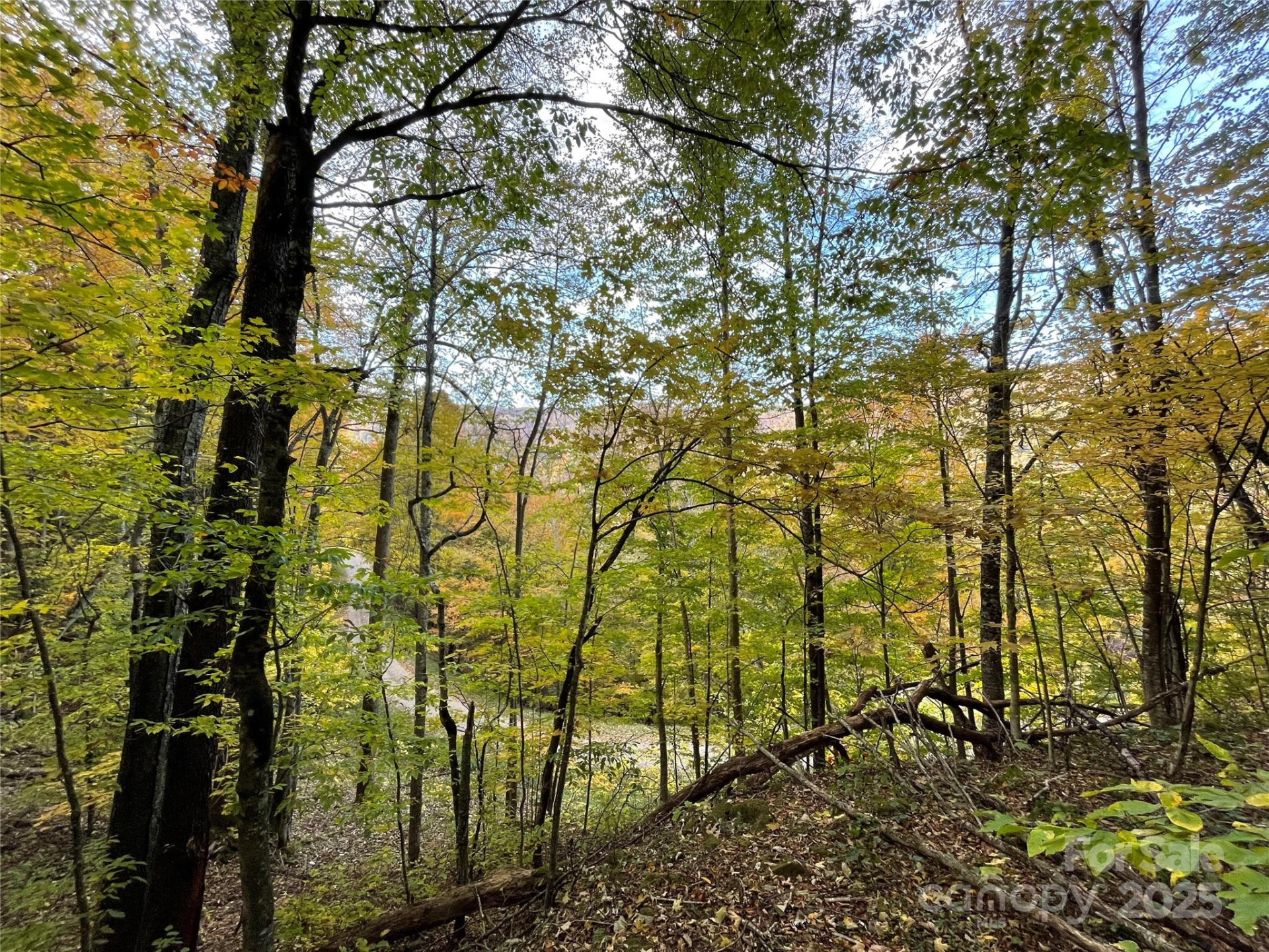 96 Chestnut Lane #96 - Photo 8