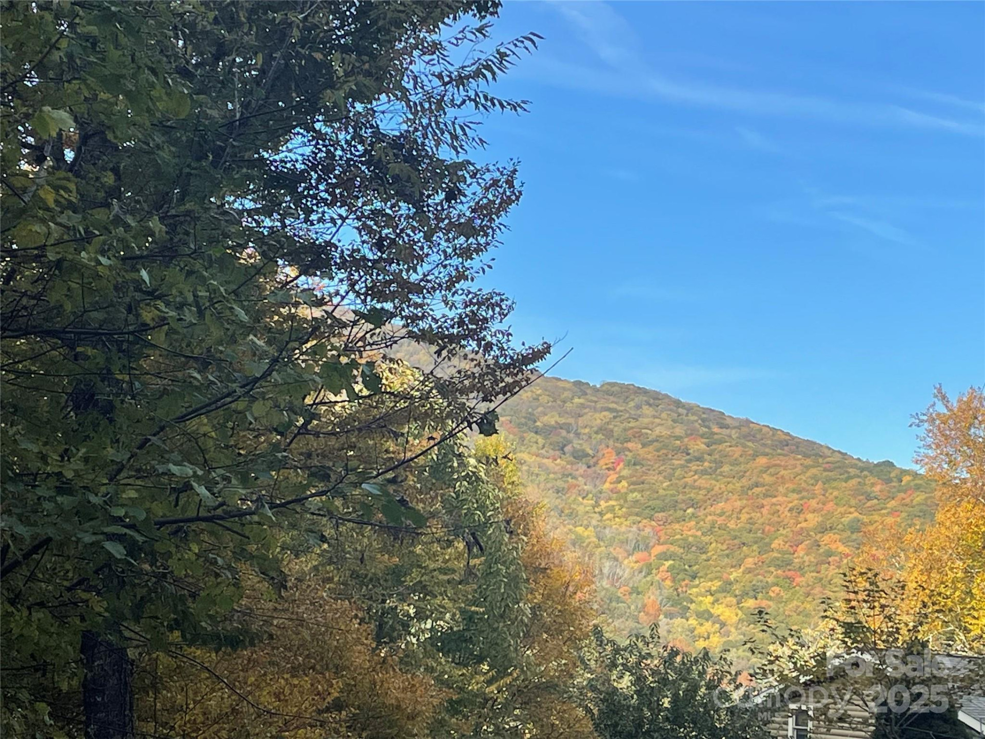 96 Chestnut Lane #96 - Photo 9