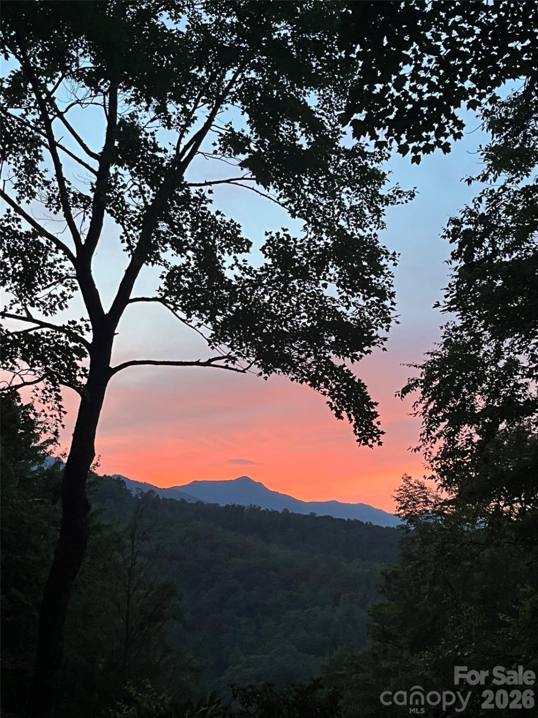 19 High Terrain Drive - Photo 5