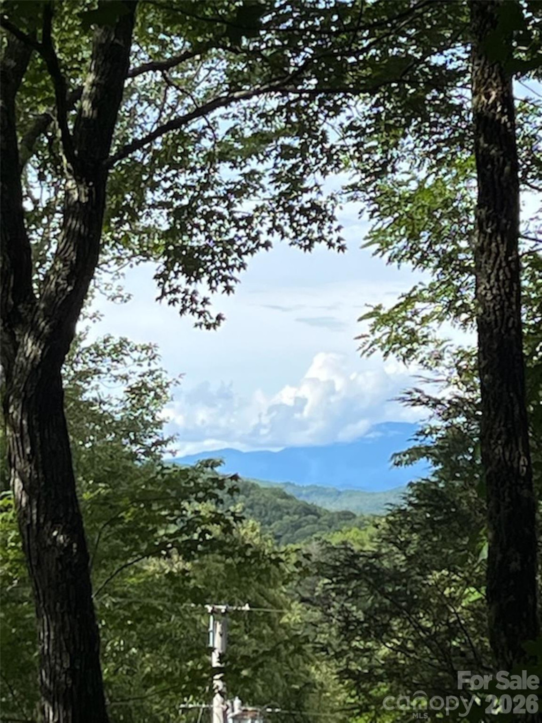 19 High Terrain Drive - Photo 7