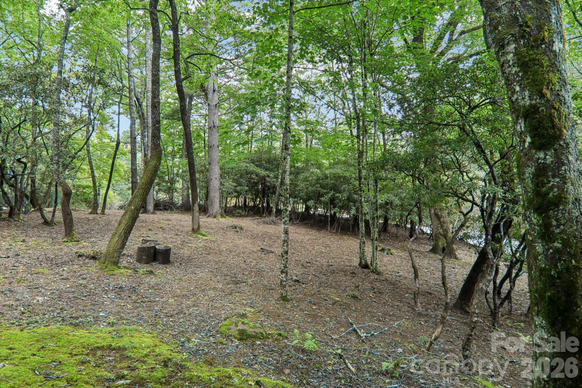 19 High Terrain Drive - Photo 87