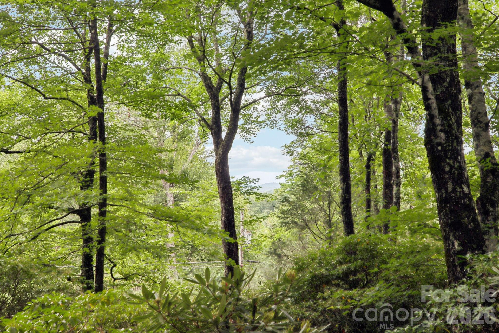 19 High Terrain Drive - Photo 89