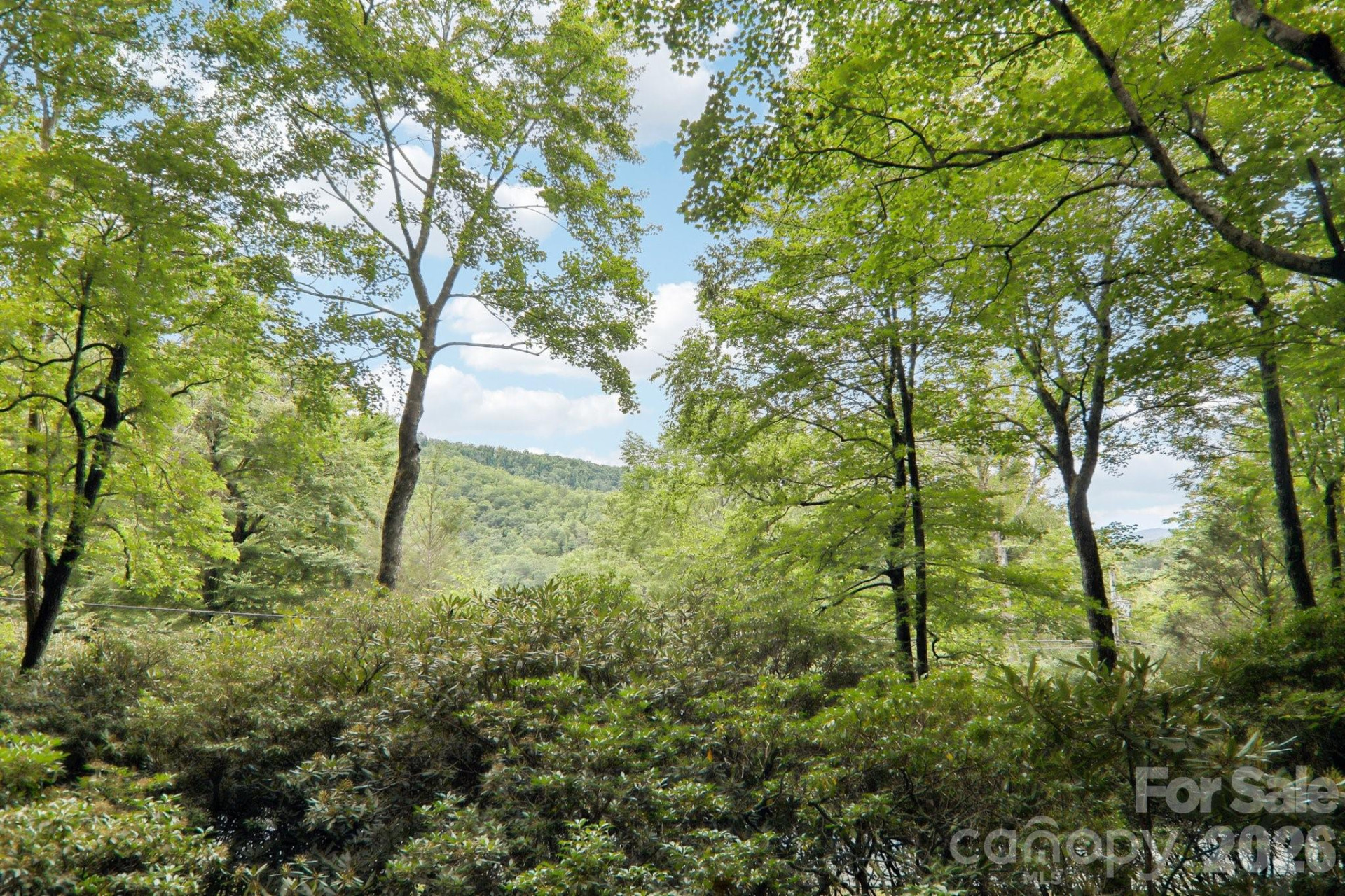 19 High Terrain Drive - Photo 91