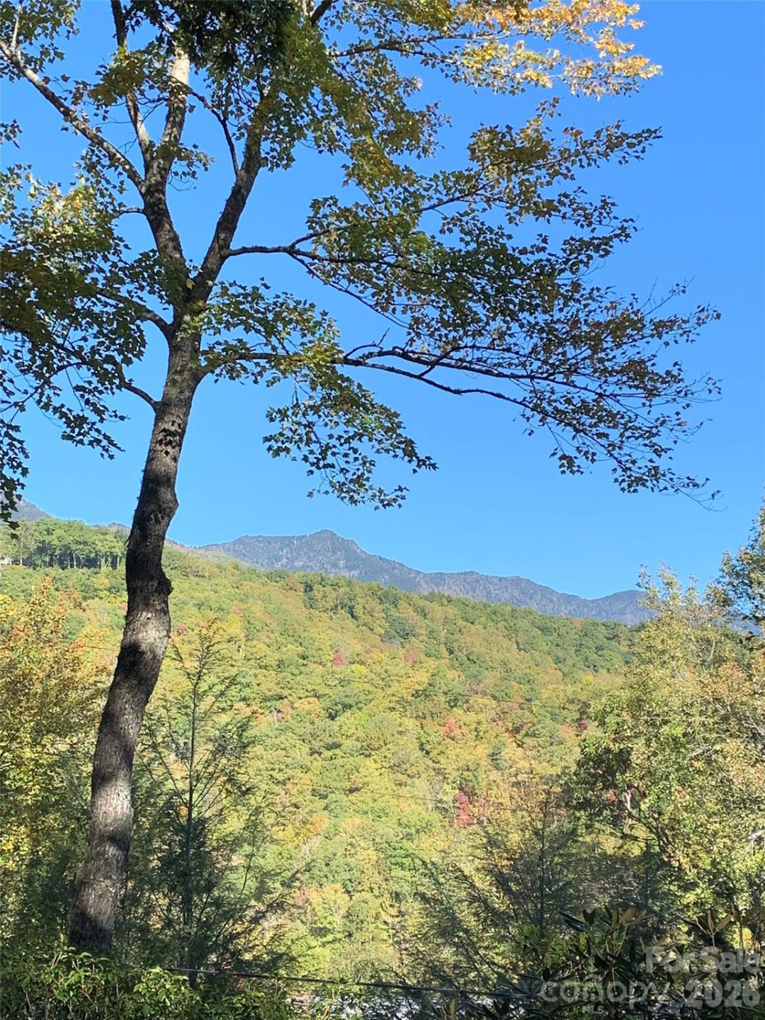 19 High Terrain Drive - Photo 93