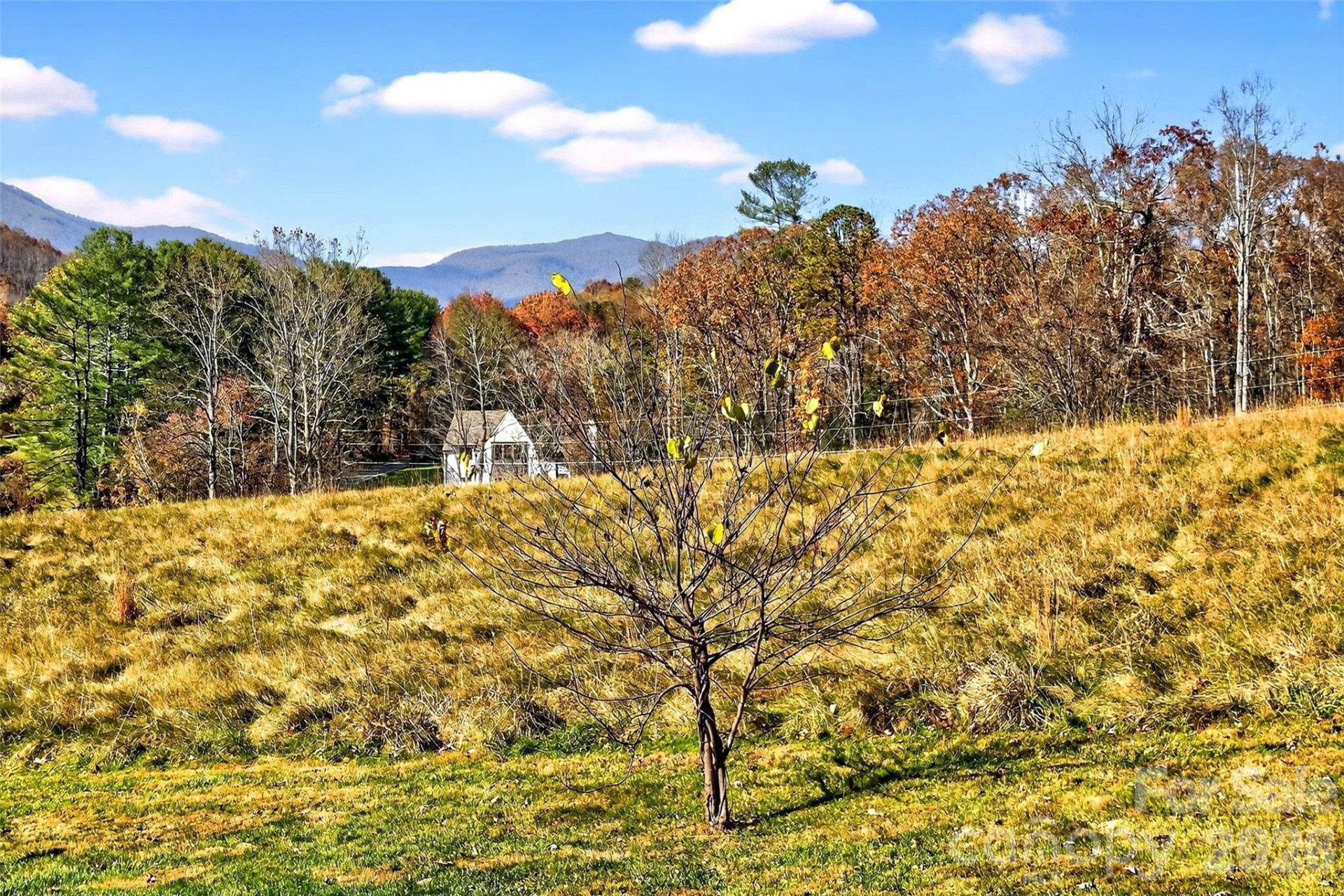 3B Lynx Drive - Photo 31