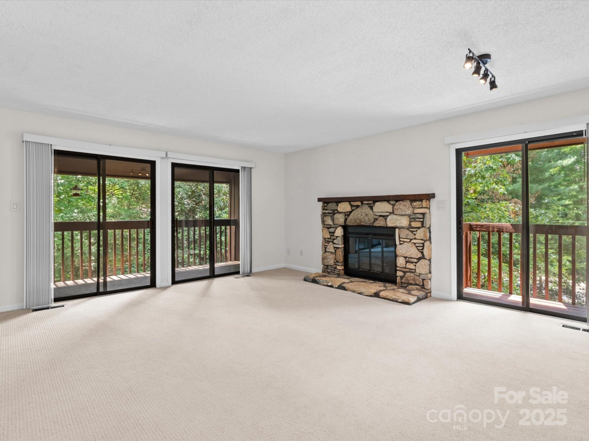 102 Cedar Forest Trail - Photo 2