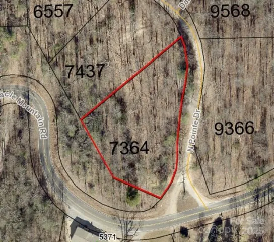 999999 Pointe Drive, Zirconia, NC, 28790