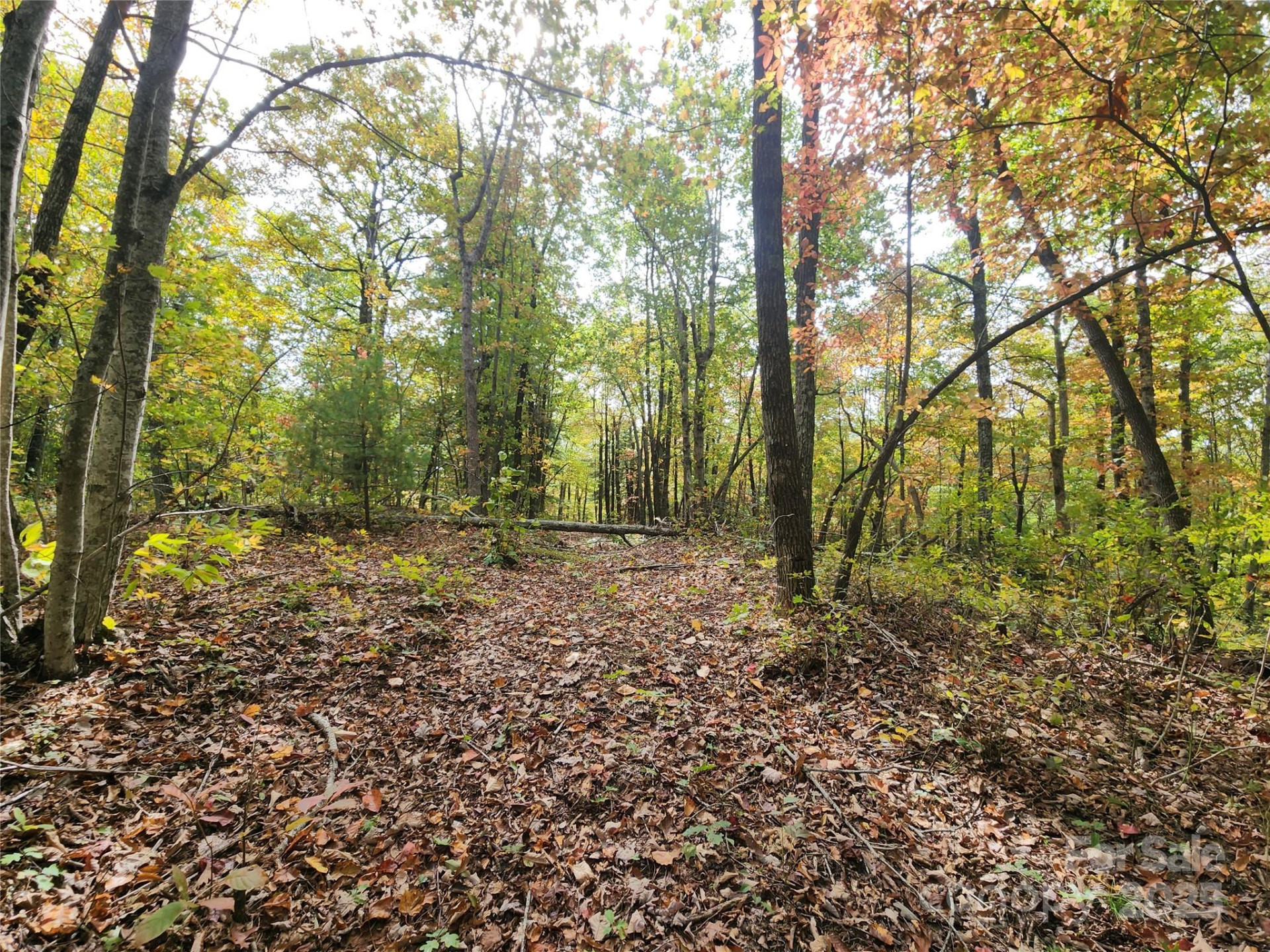 999999 Pointe Drive #1 - Photo 2