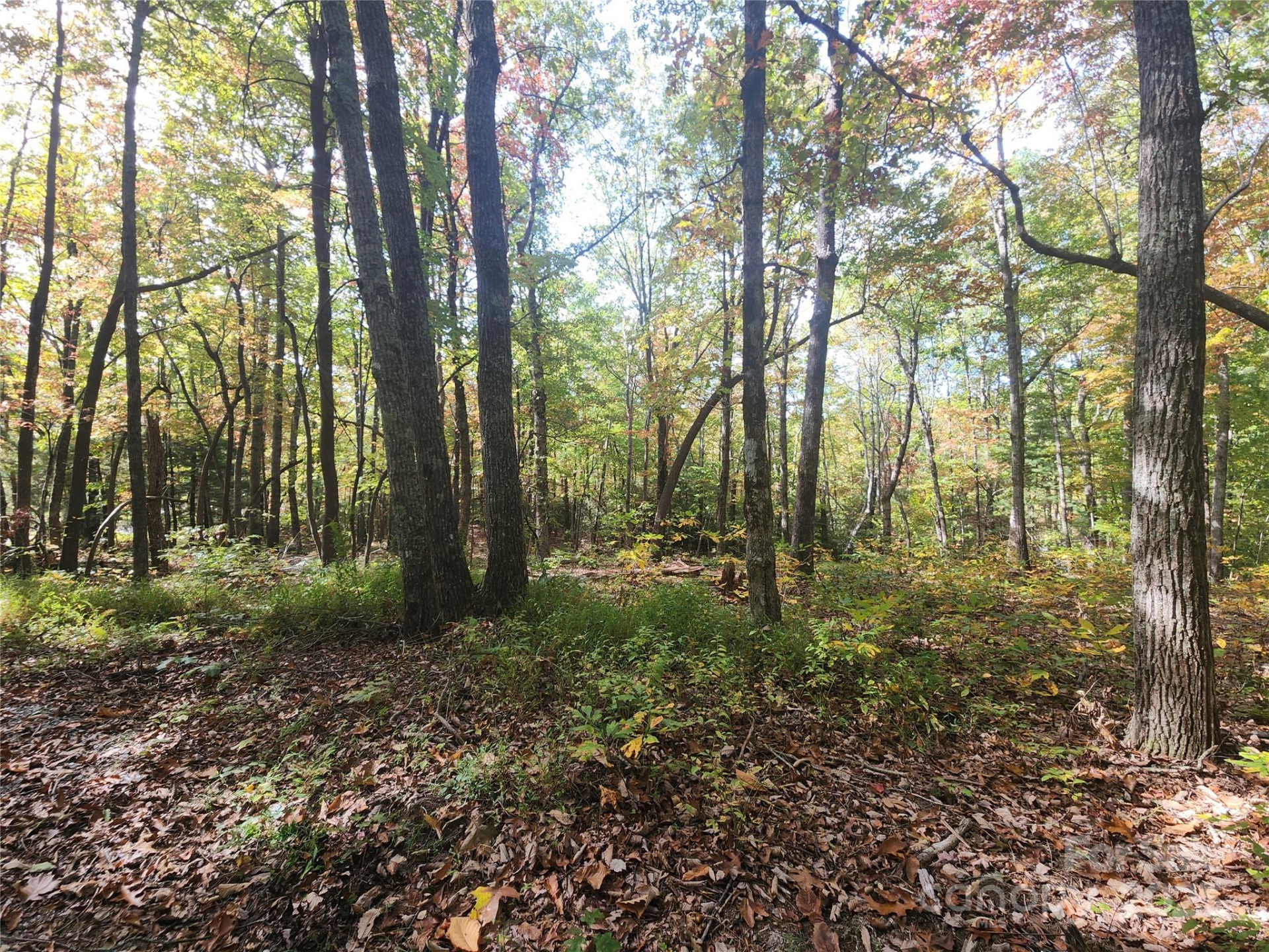 999999 Pointe Drive #1 - Photo 3