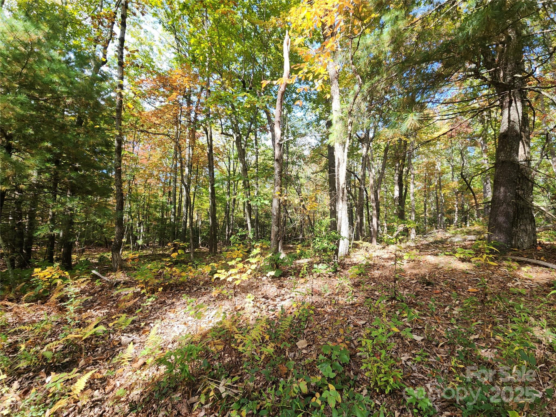 999999 Pointe Drive #1 - Photo 4