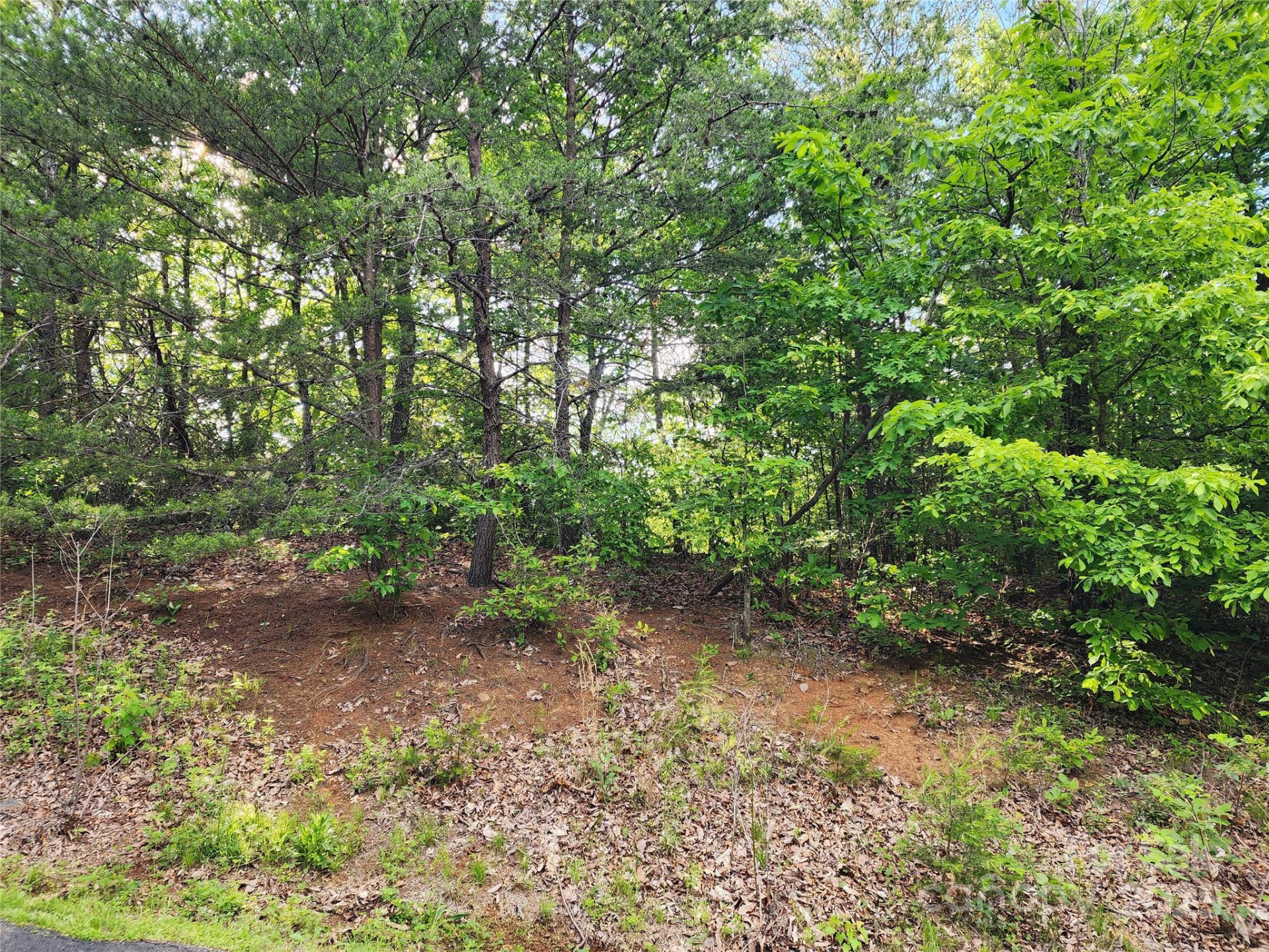 30 Mountain Lookout Drive - Photo 21