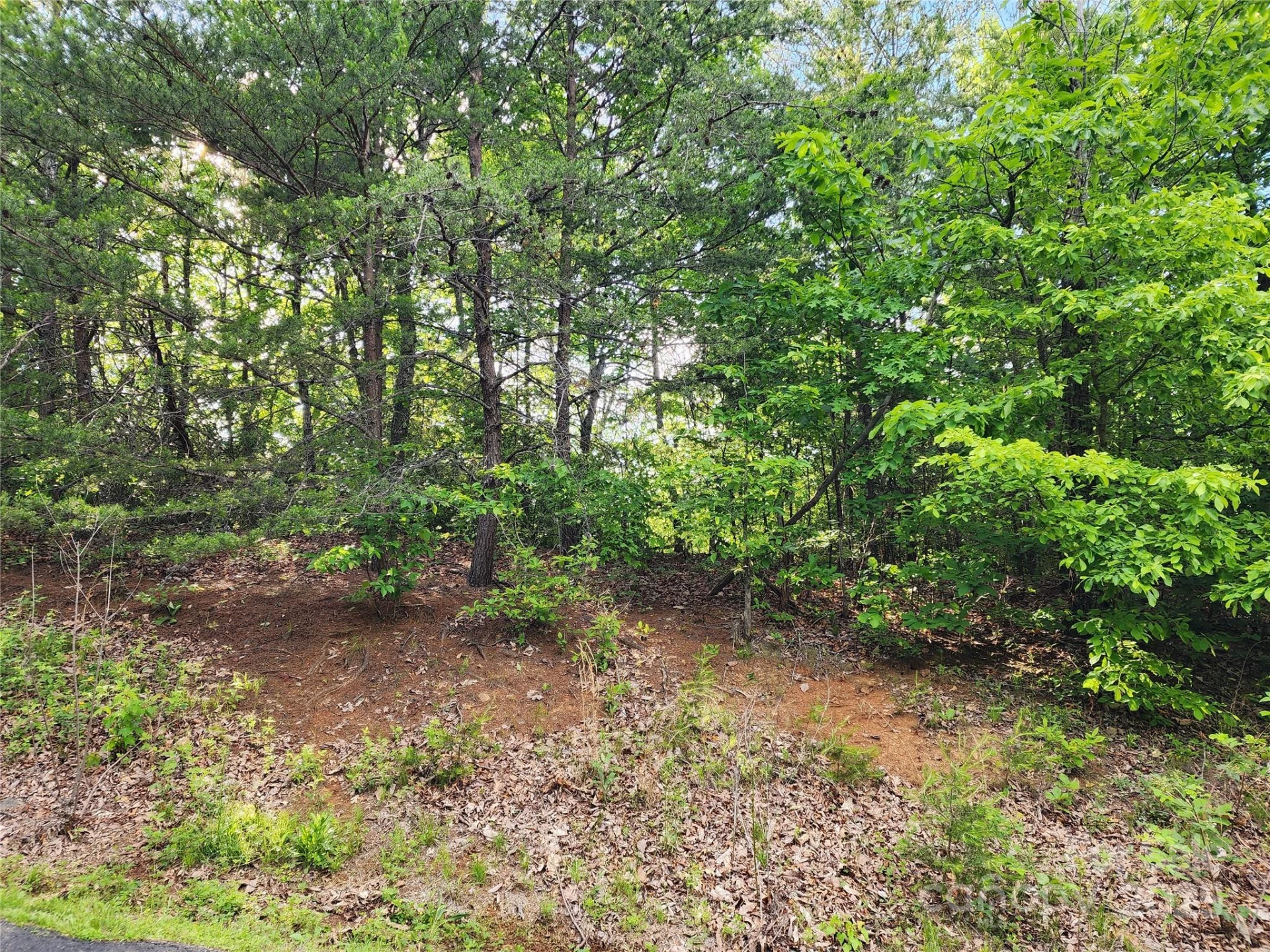 30 Mountain Lookout Drive - Photo 21