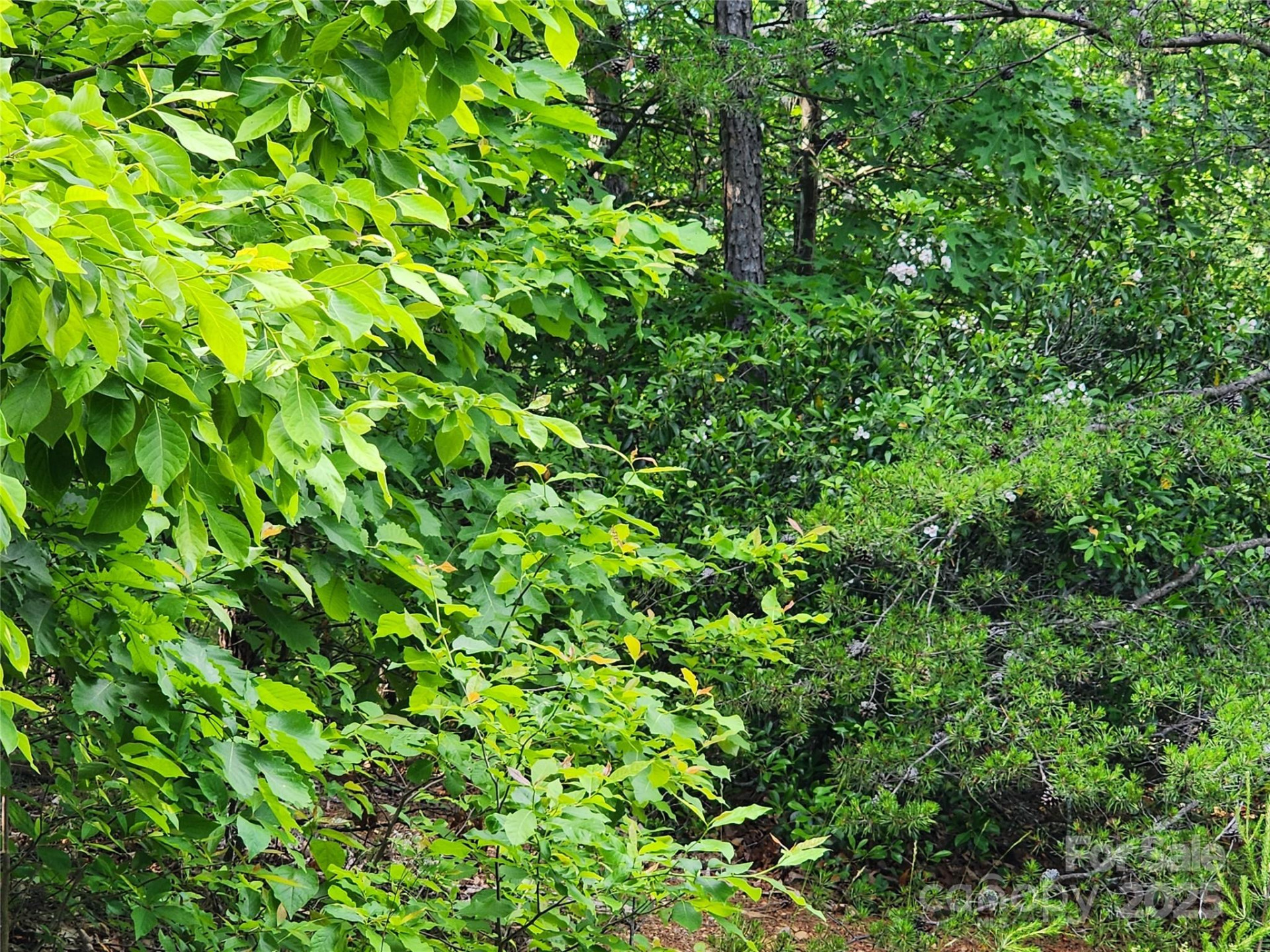 30 Mountain Lookout Drive - Photo 22