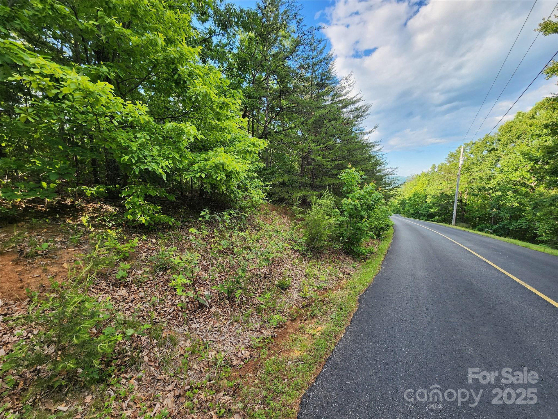30 Mountain Lookout Drive - Photo 23