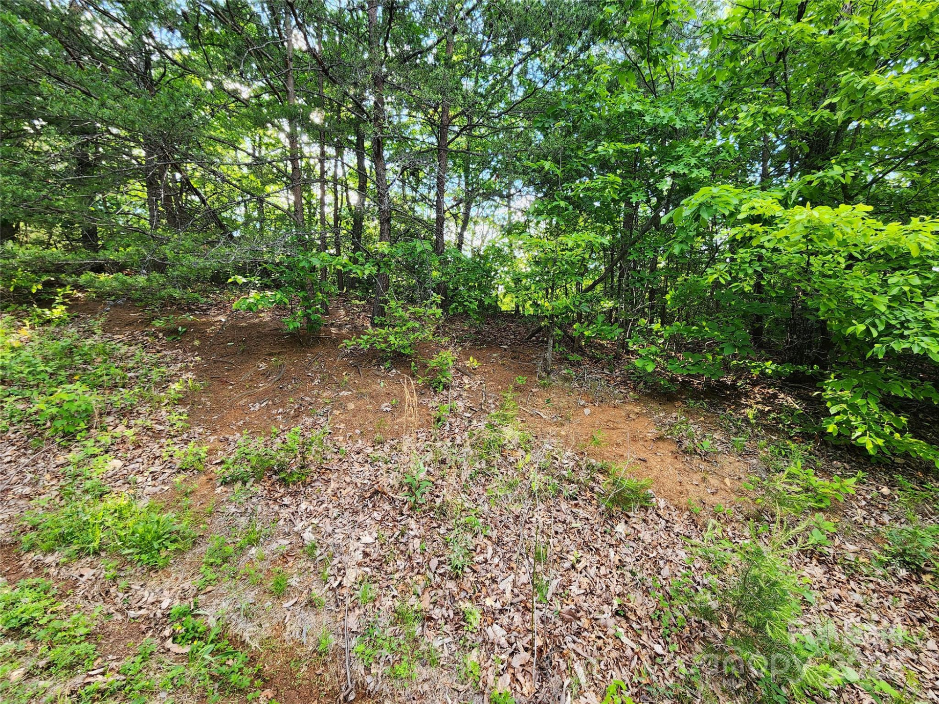 30 Mountain Lookout Drive - Photo 24