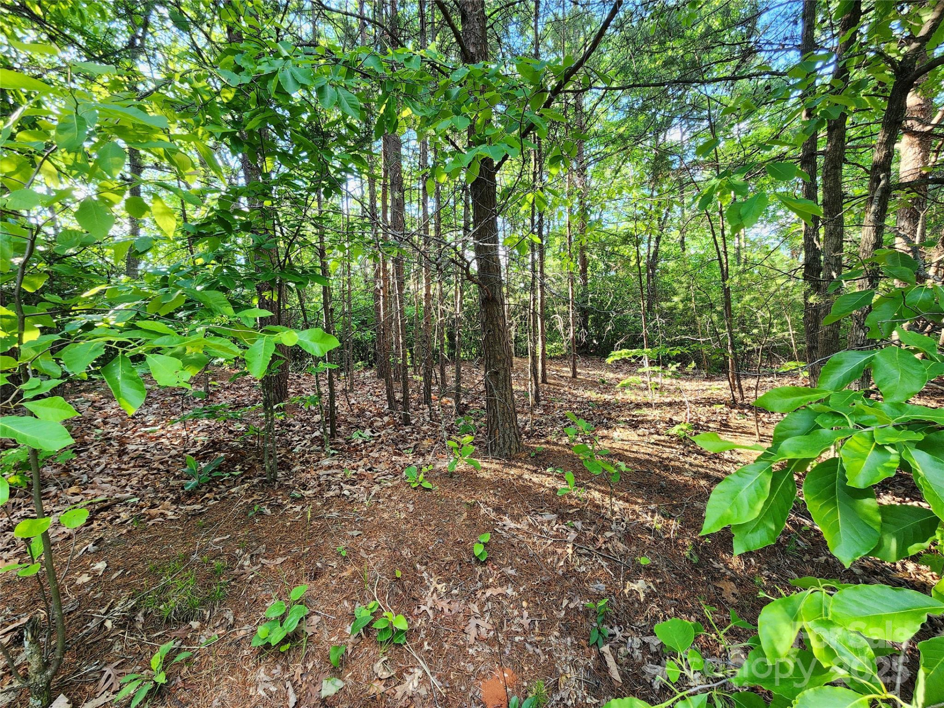 30 Mountain Lookout Drive - Photo 25
