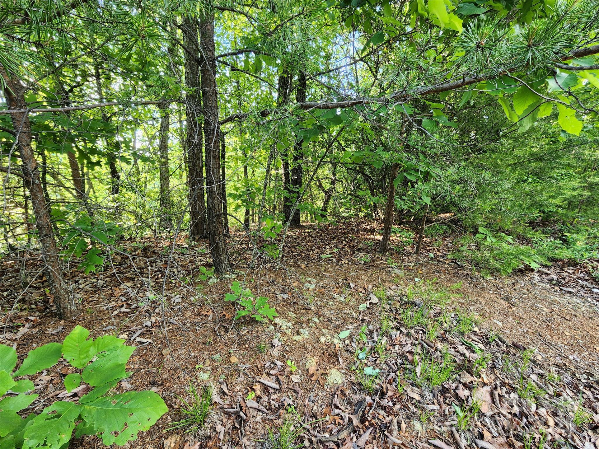 30 Mountain Lookout Drive - Photo 29