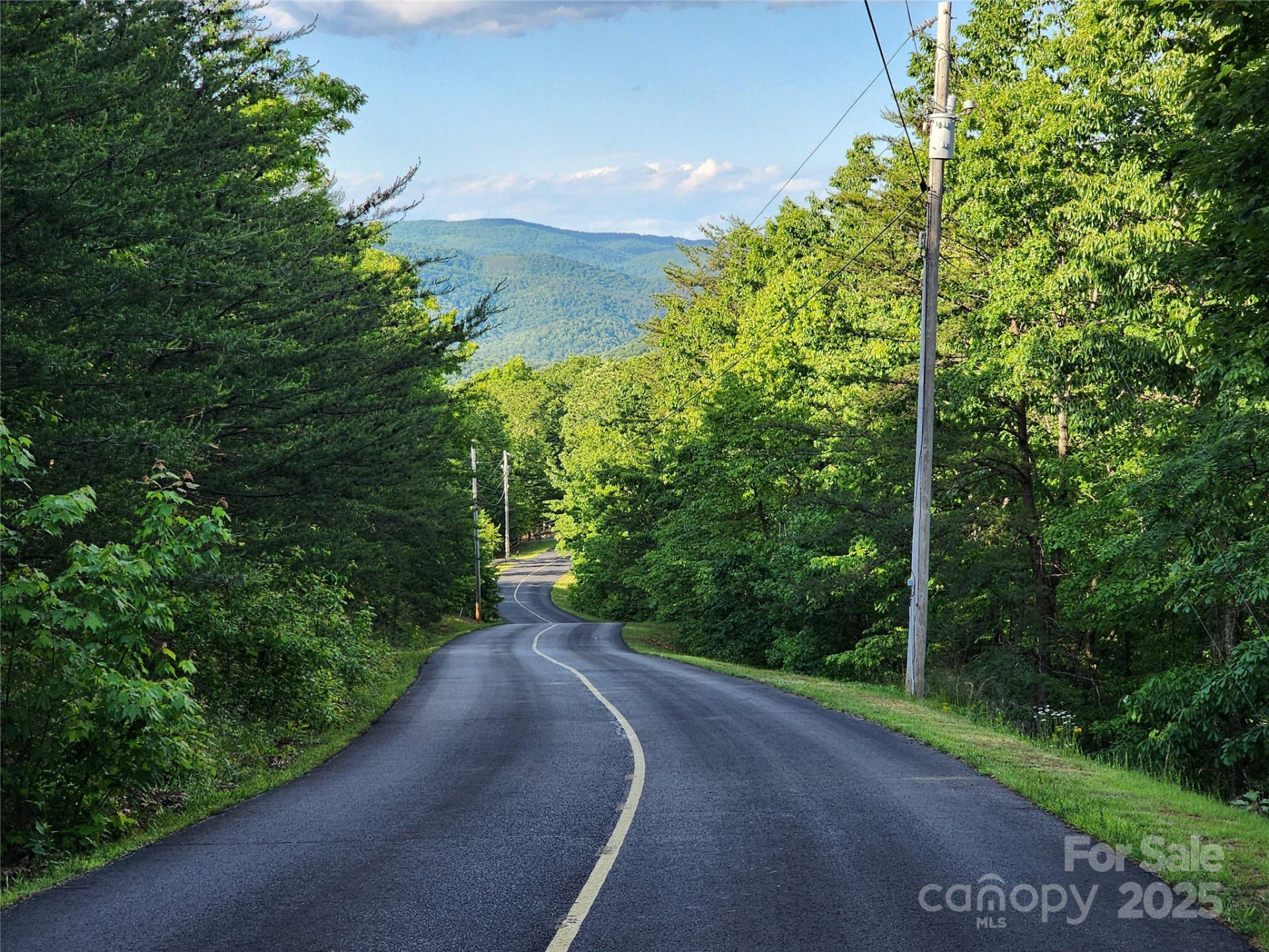 30 Mountain Lookout Drive - Photo 30