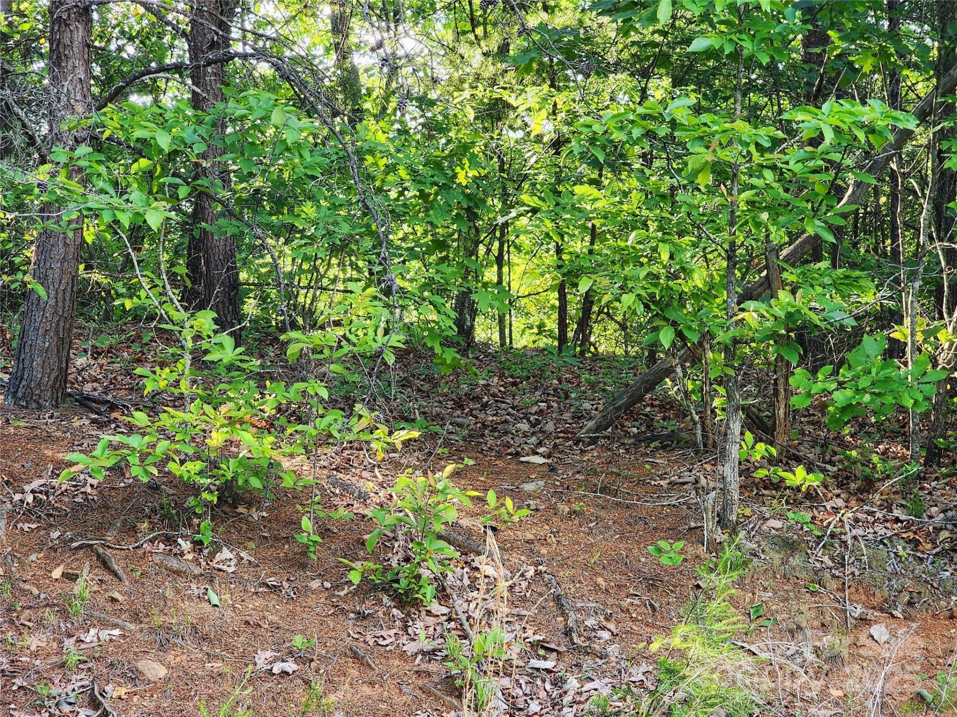 30 Mountain Lookout Drive - Photo 31