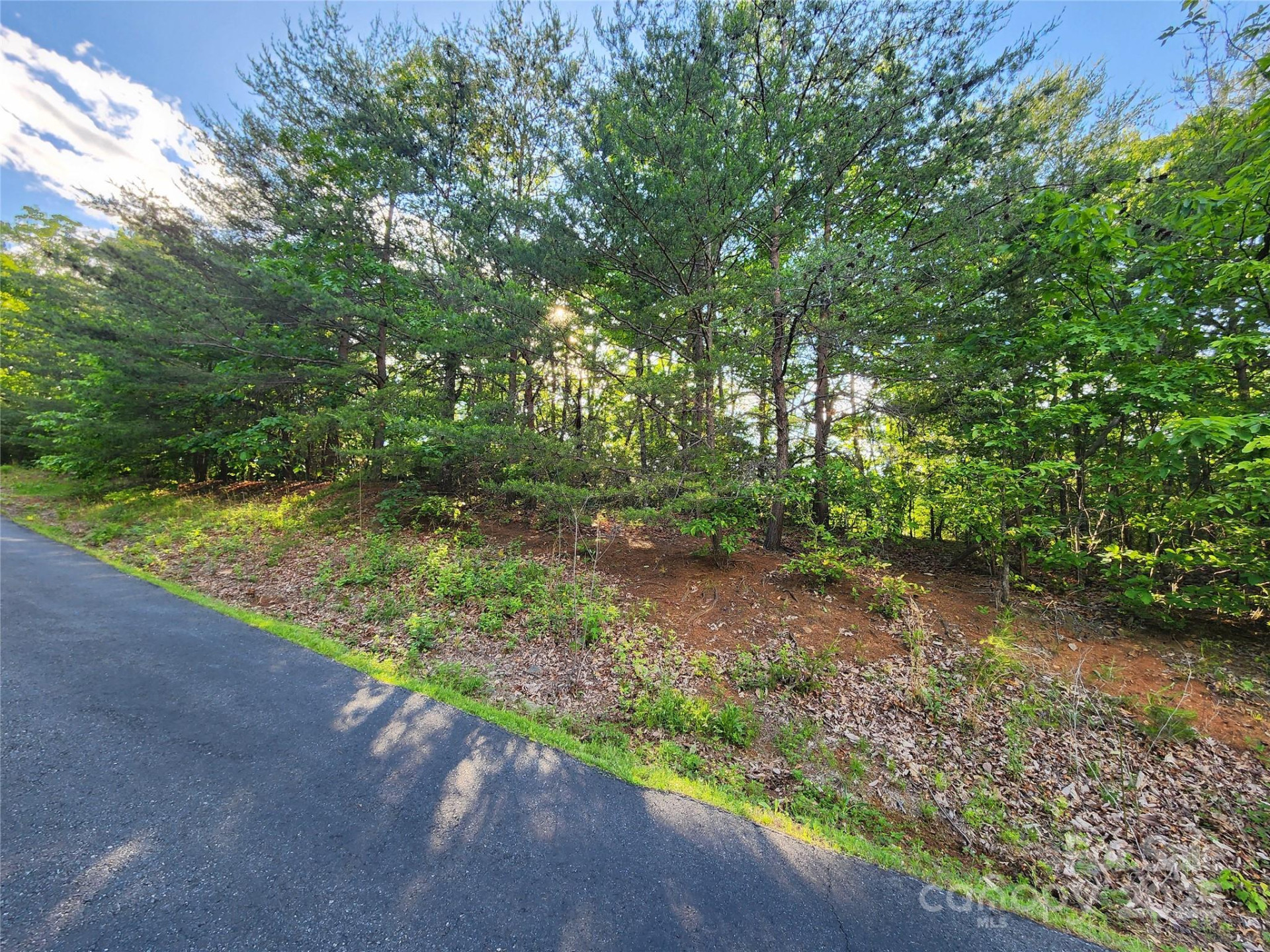 30 Mountain Lookout Drive - Photo 32