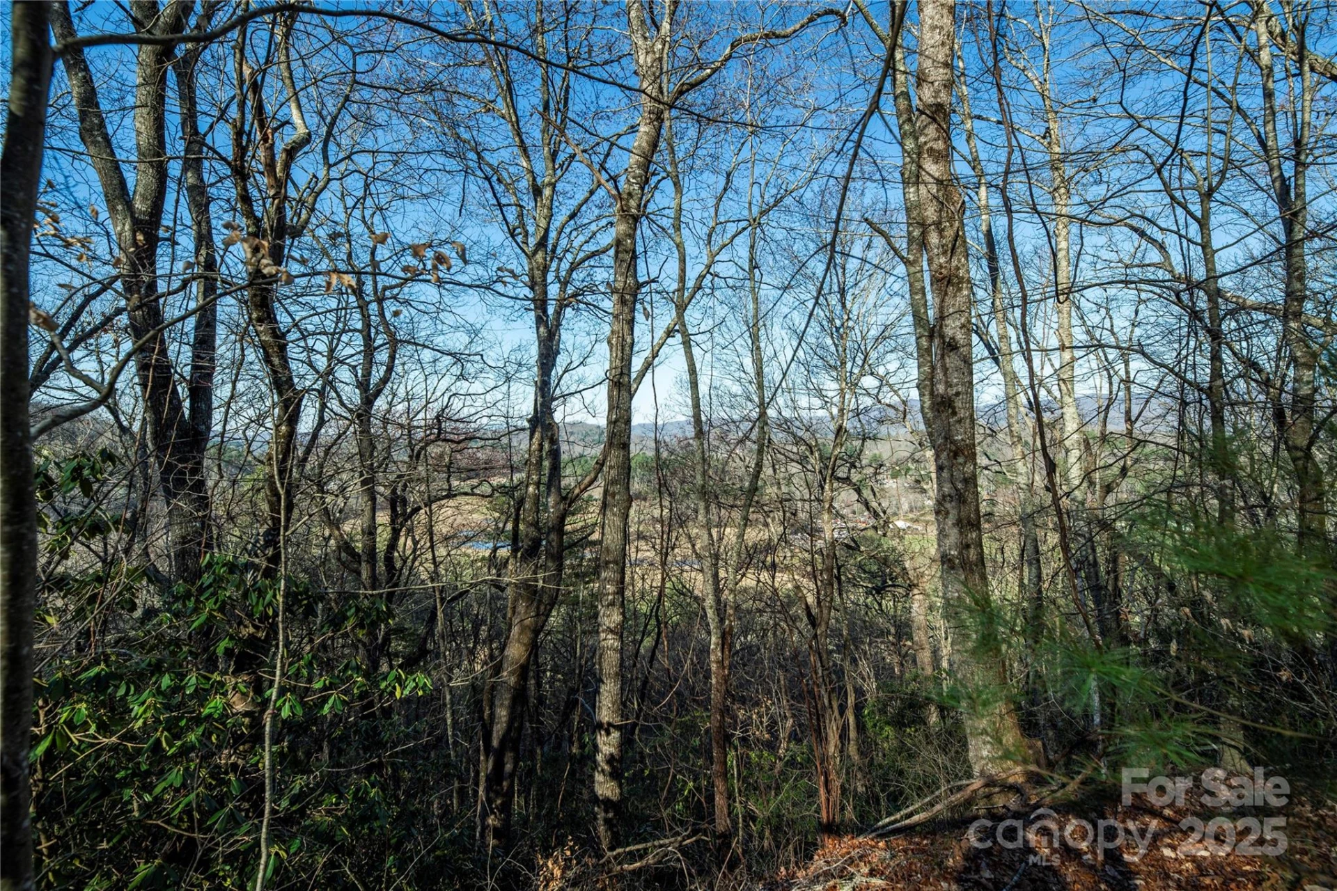 TBD Three Mile Knob Road #L1