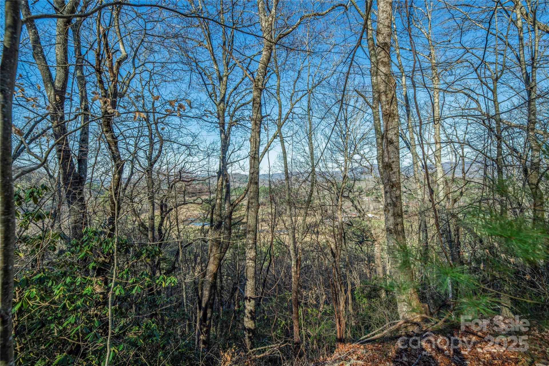 TBD Three Mile Knob Road #L1 - Photo 5