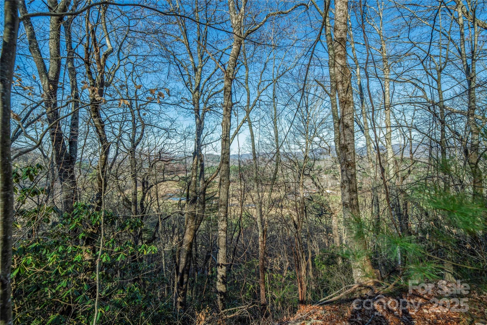 TBD Three Mile Knob Road #L1 - Photo 5