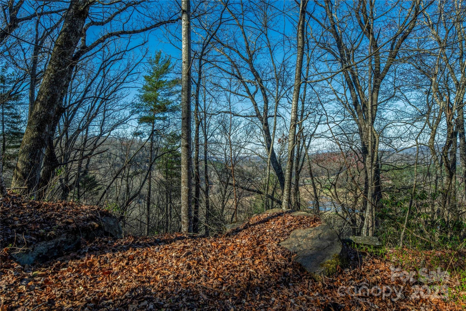 TBD Three Mile Knob Road #L1 - Photo 6