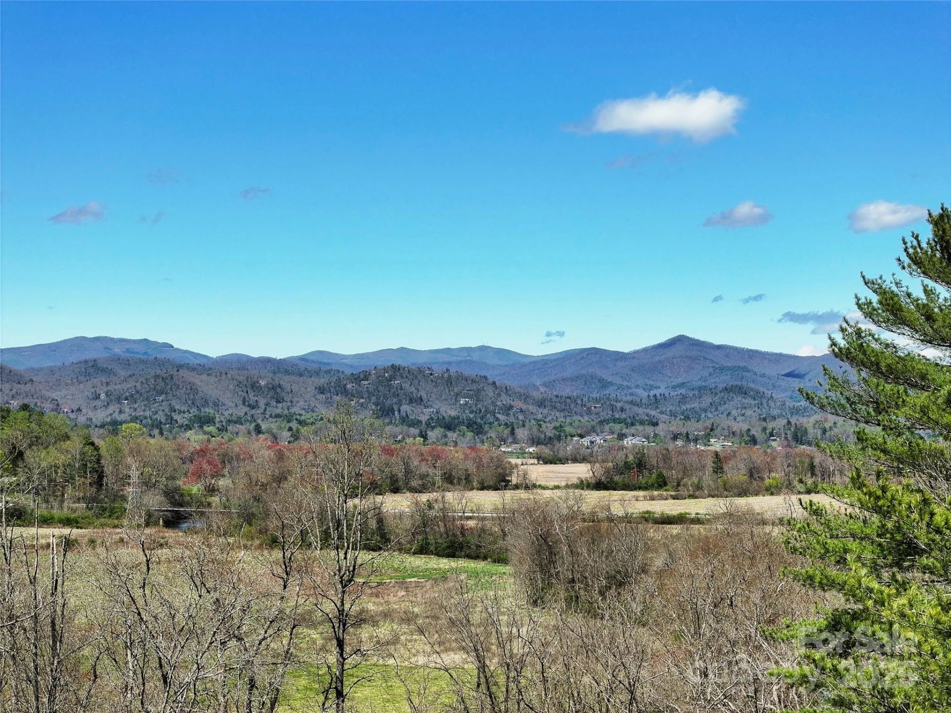 TBD Three Mile Knob Road #L1 - Photo 7