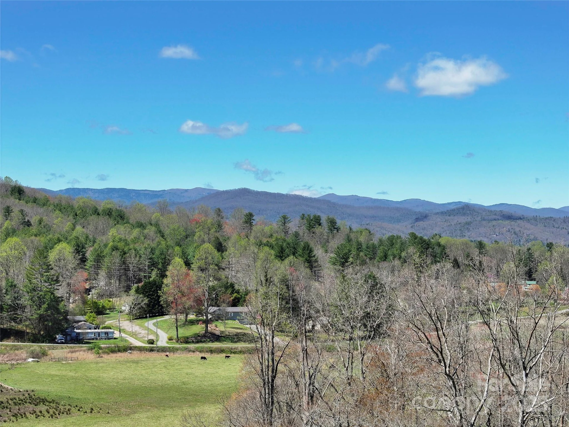 TBD Three Mile Knob Road #L1 - Photo 8