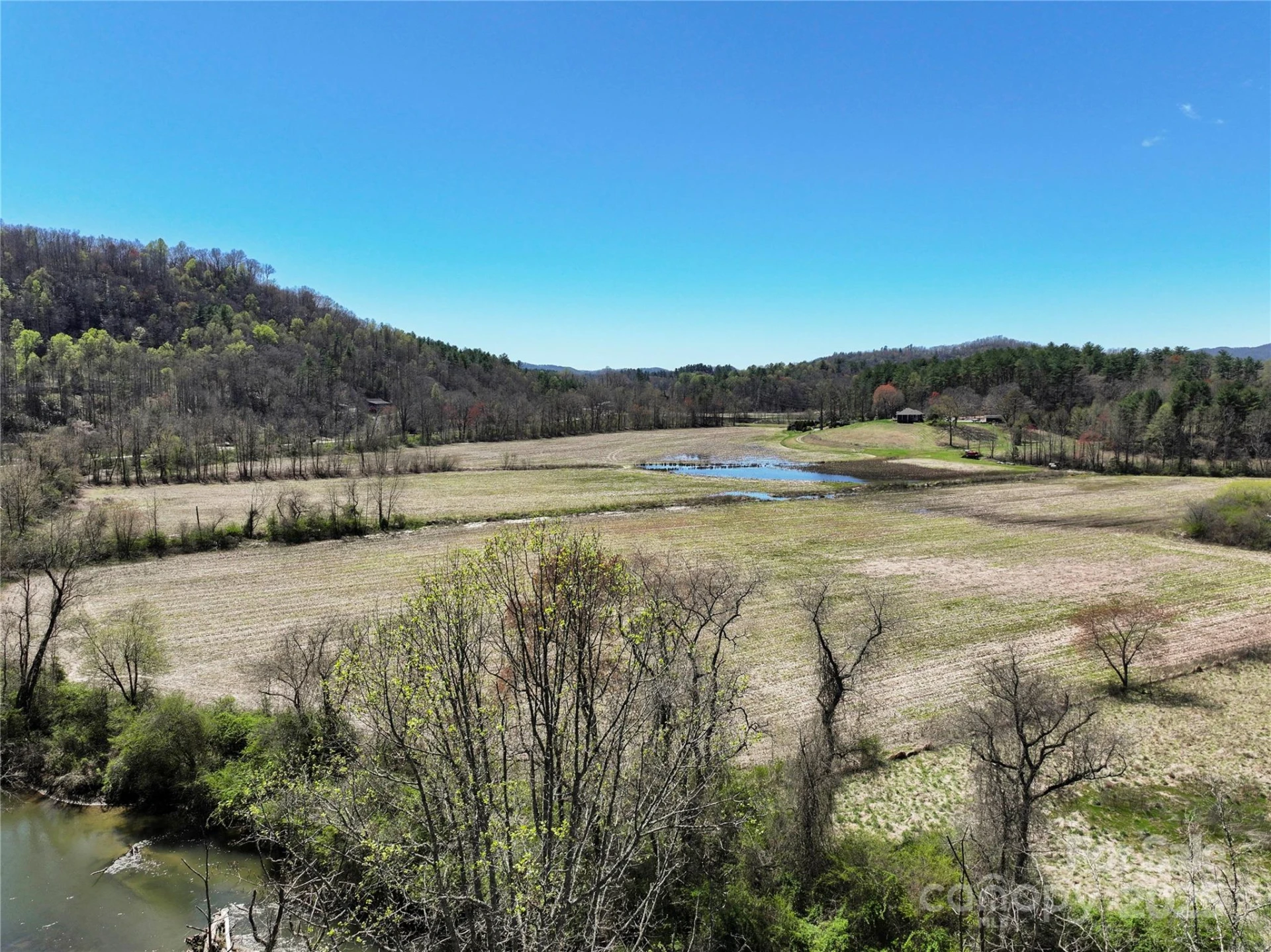 TBD Three Mile Knob Road #L1 - Photo 9