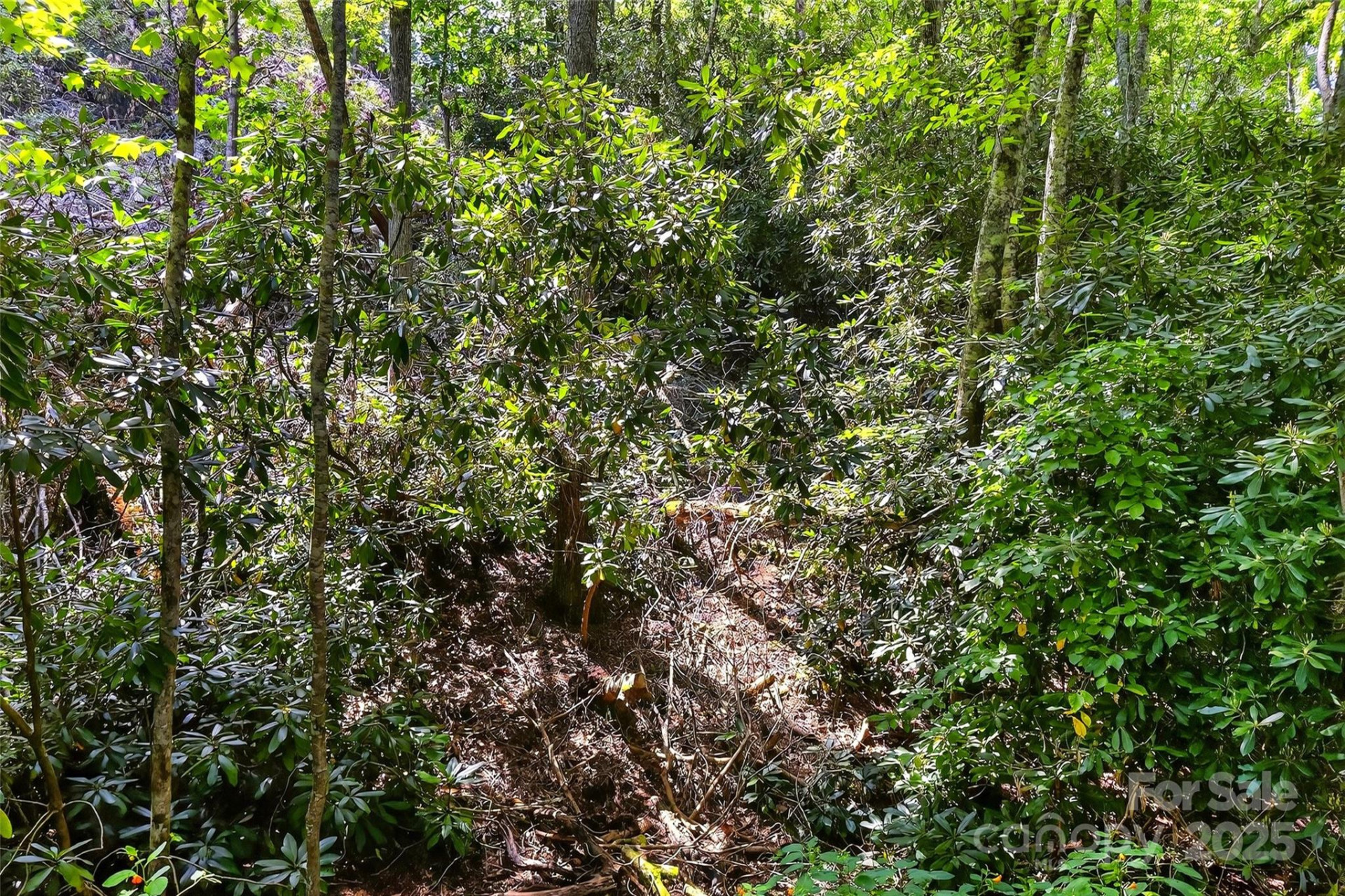 99999 Yates Avenue - Photo 2