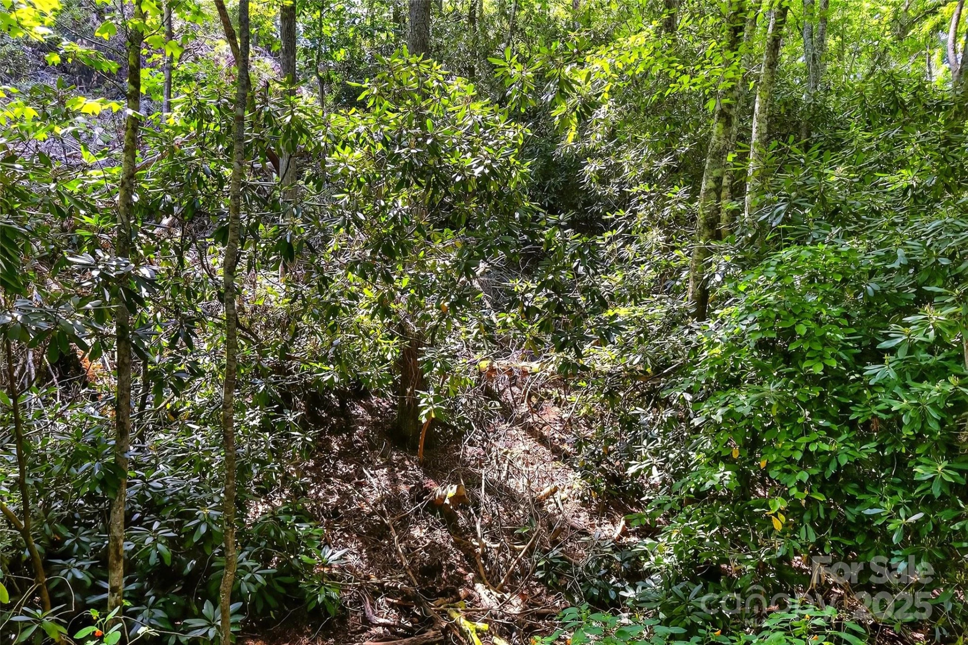 99999 Yates Avenue - Photo 2