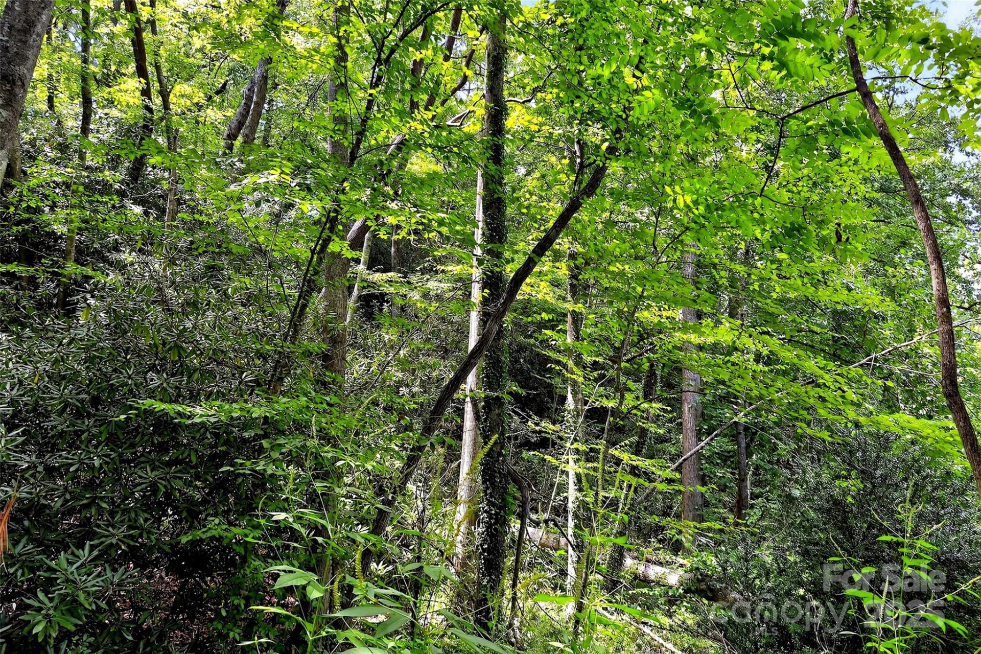 99999 Yates Avenue - Photo 12