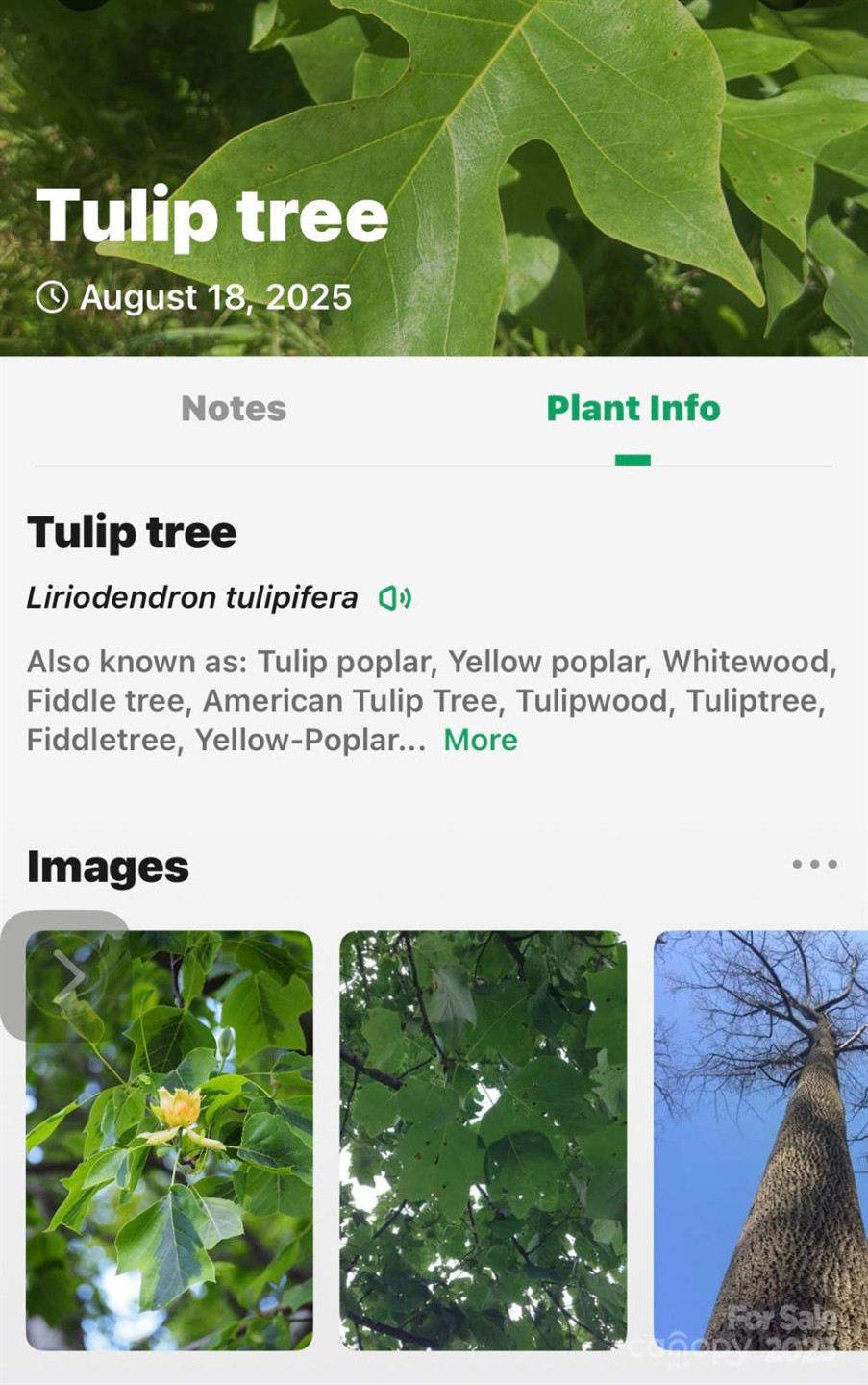 99999 Yates Avenue - Photo 21