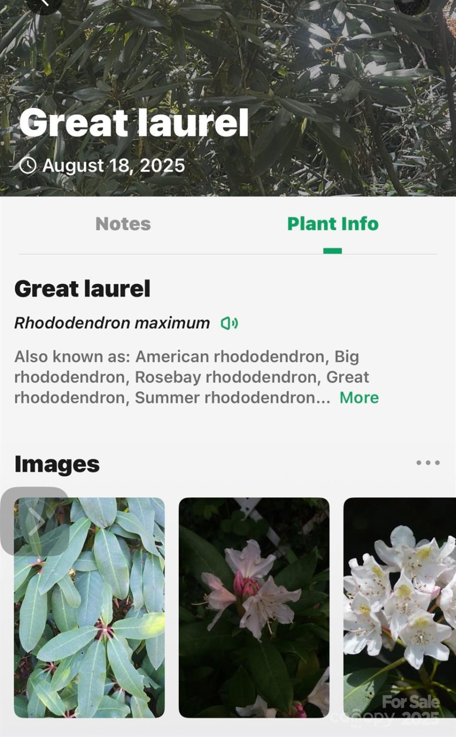 99999 Yates Avenue - Photo 22