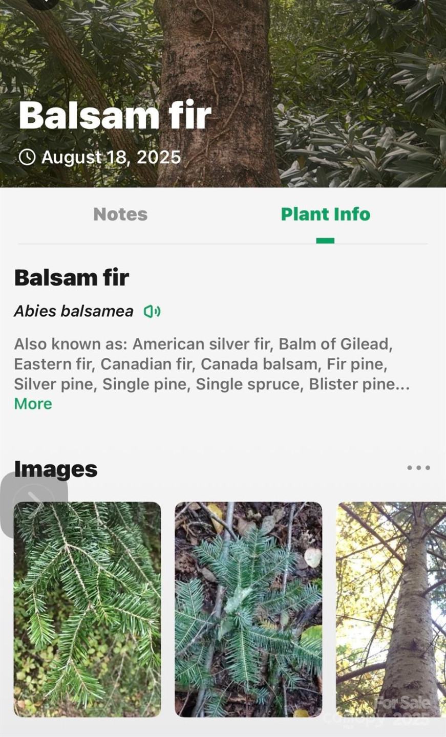 99999 Yates Avenue - Photo 23