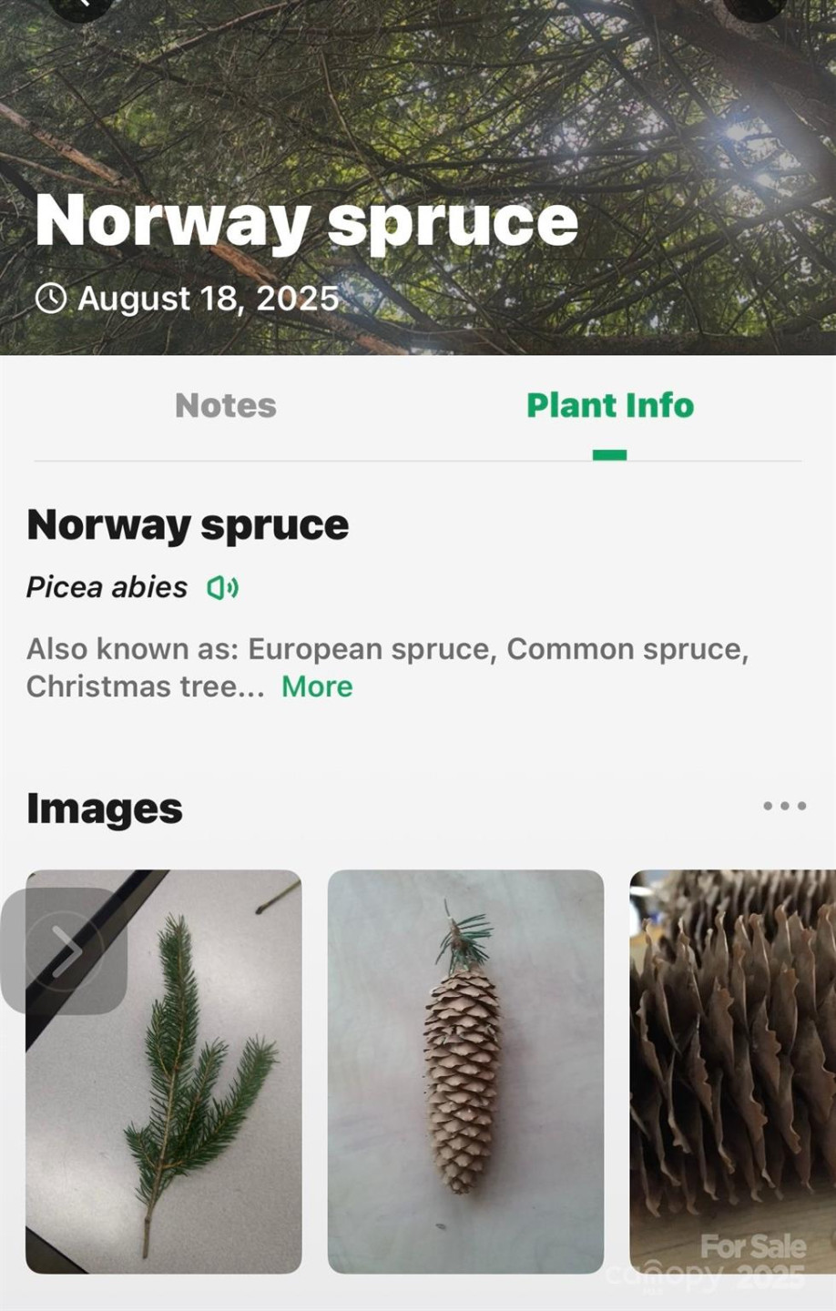 99999 Yates Avenue - Photo 24