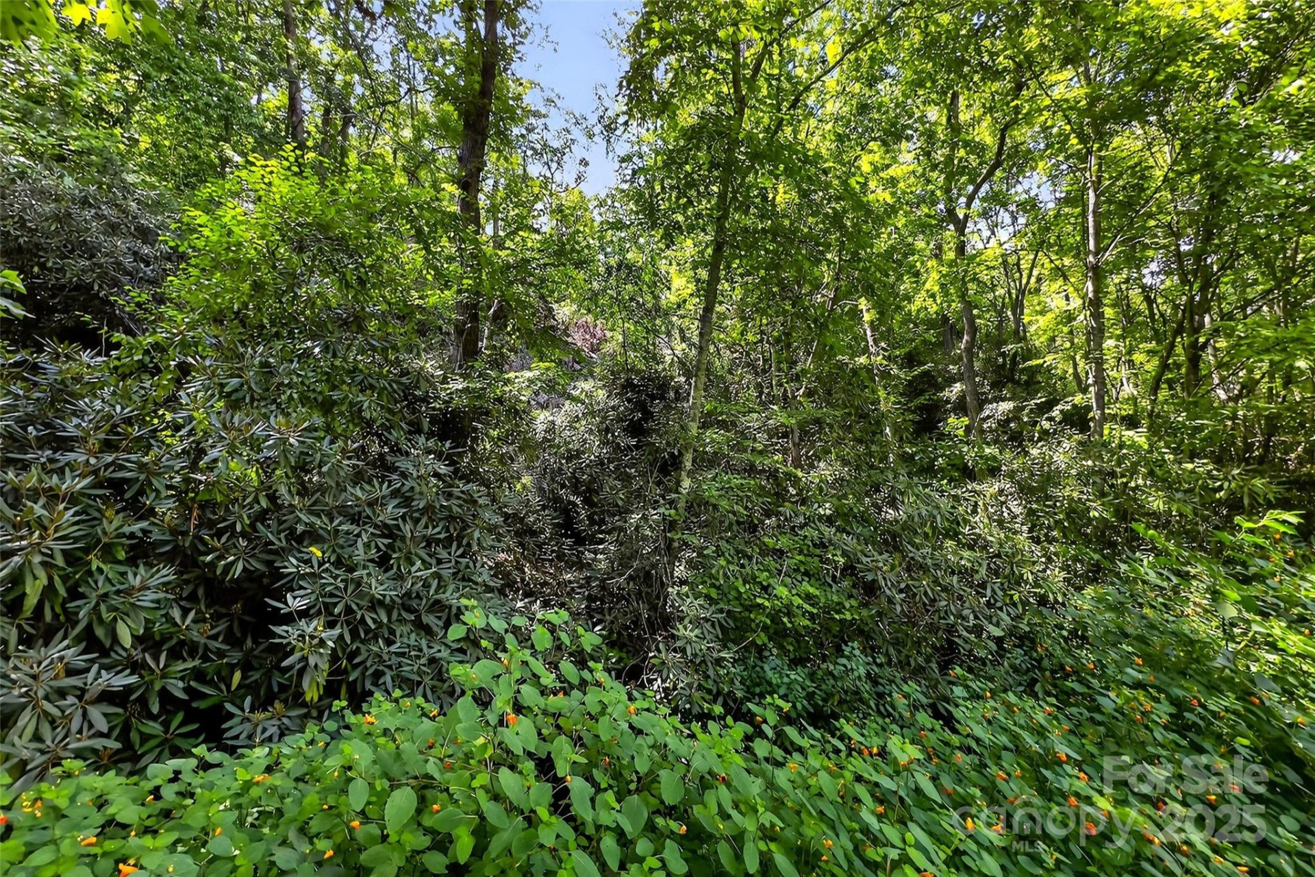 99999 Yates Avenue - Photo 4